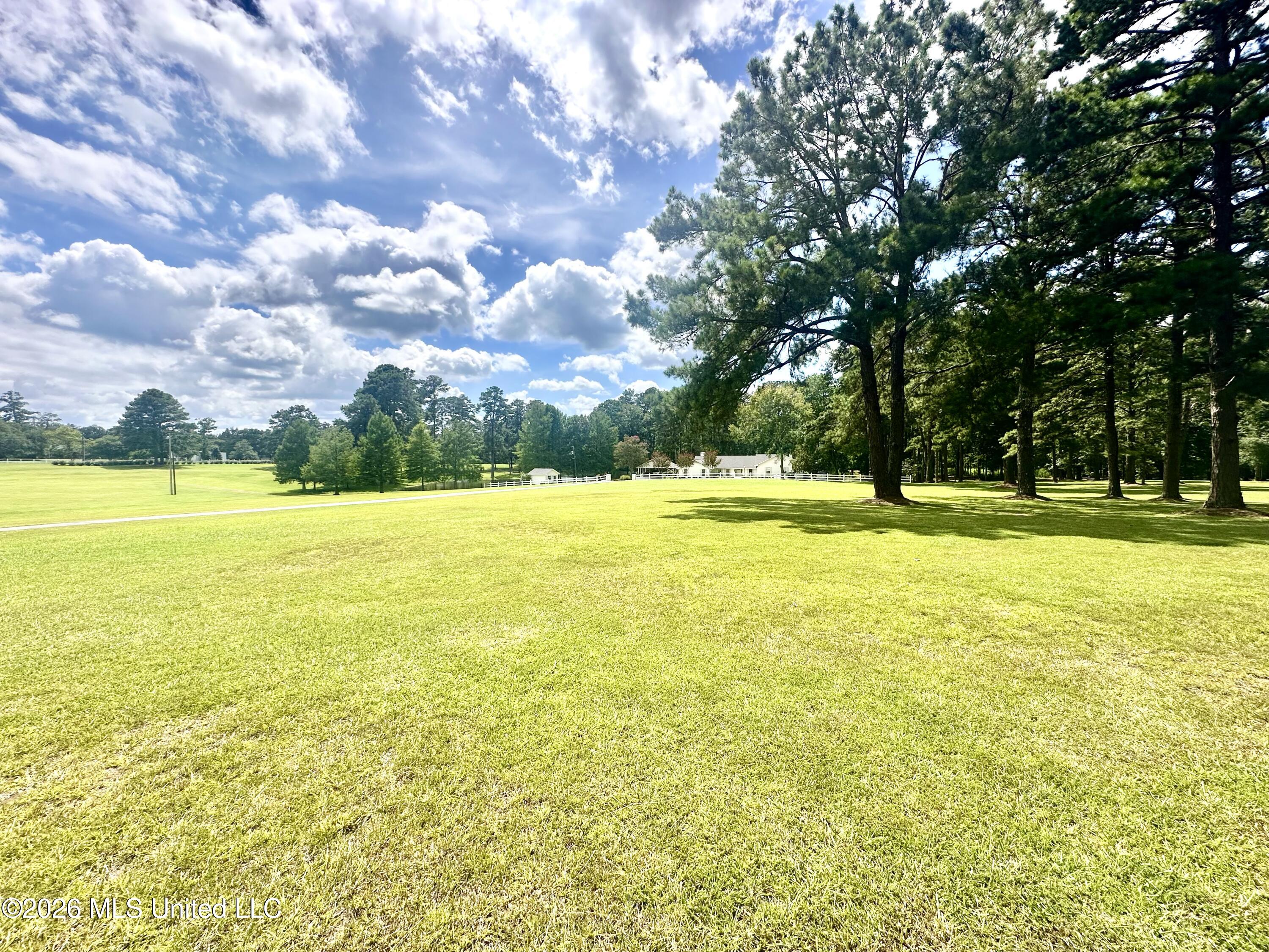 918 Hwy 51 S Property Photo 32