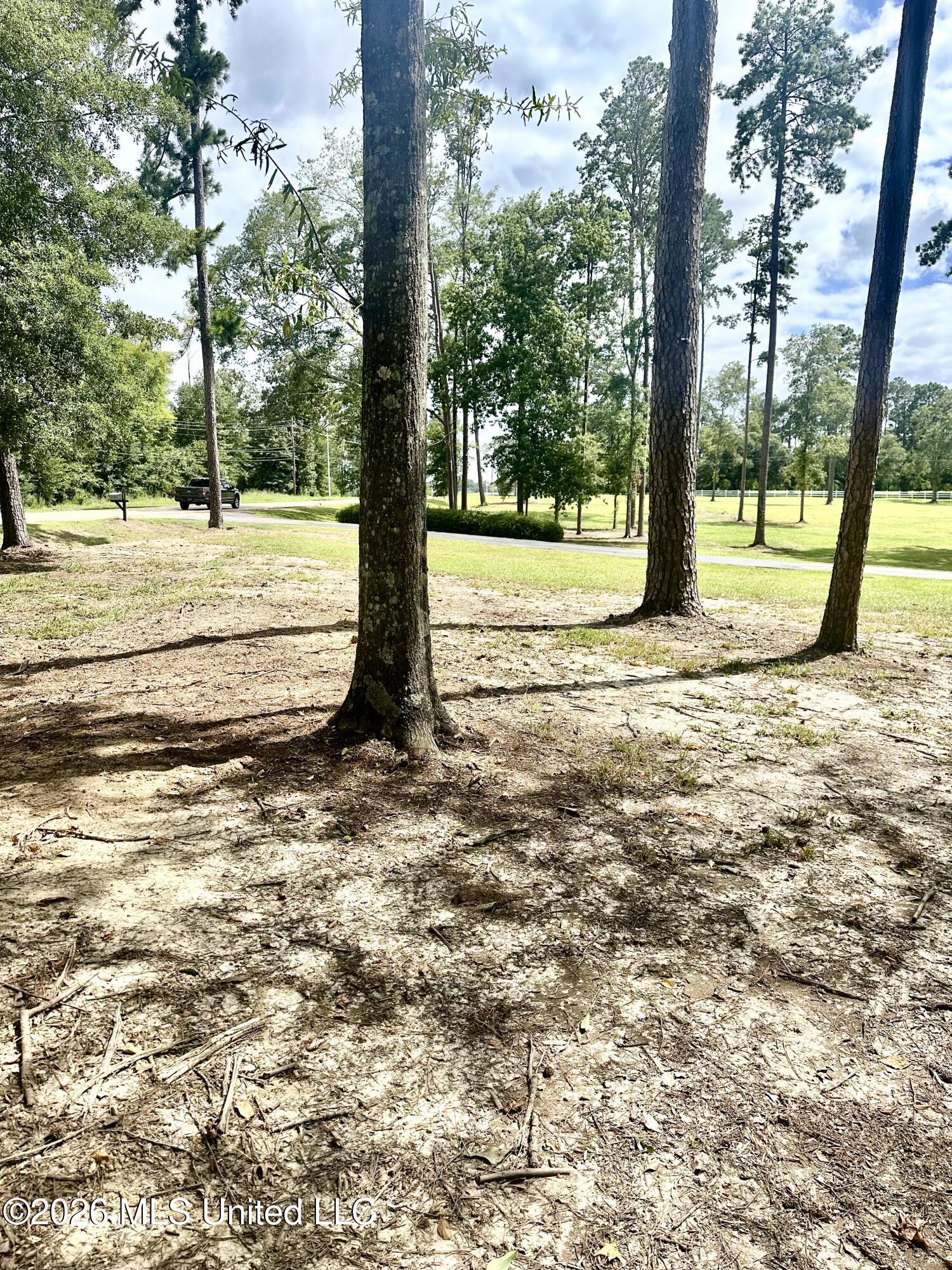 918 Hwy 51 S Property Photo 34