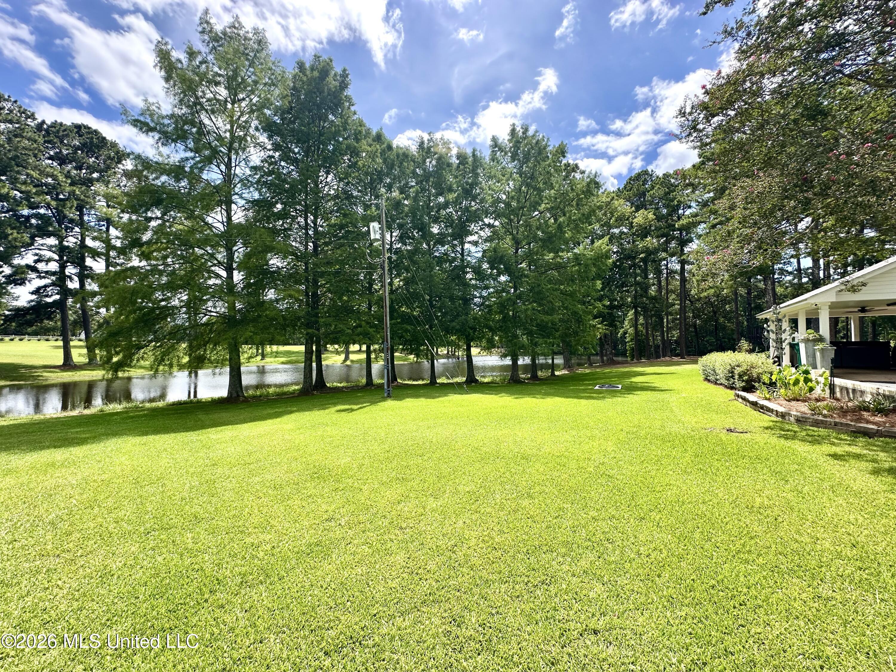 918 Hwy 51 S Property Photo 35