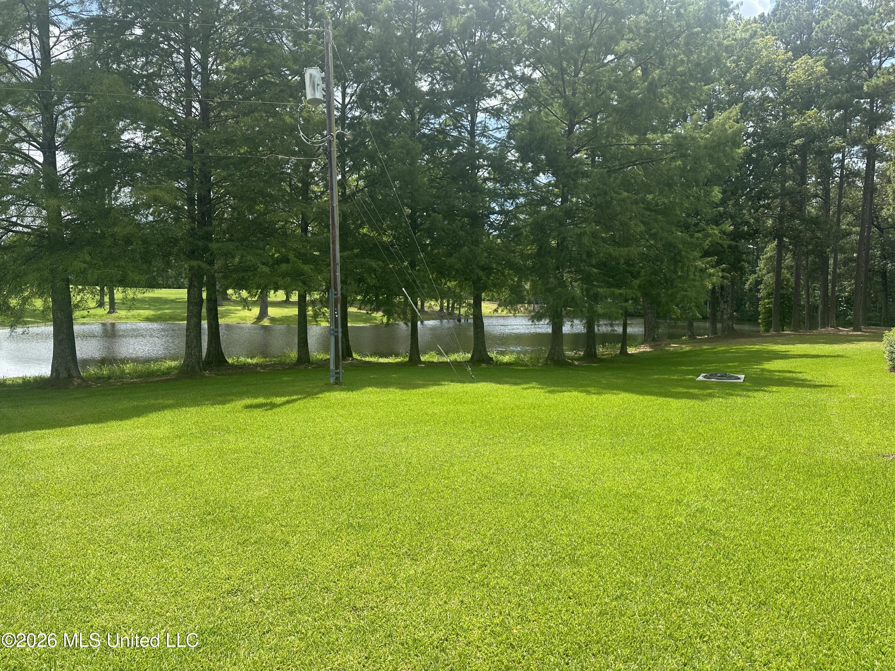 918 Hwy 51 S Property Photo 38