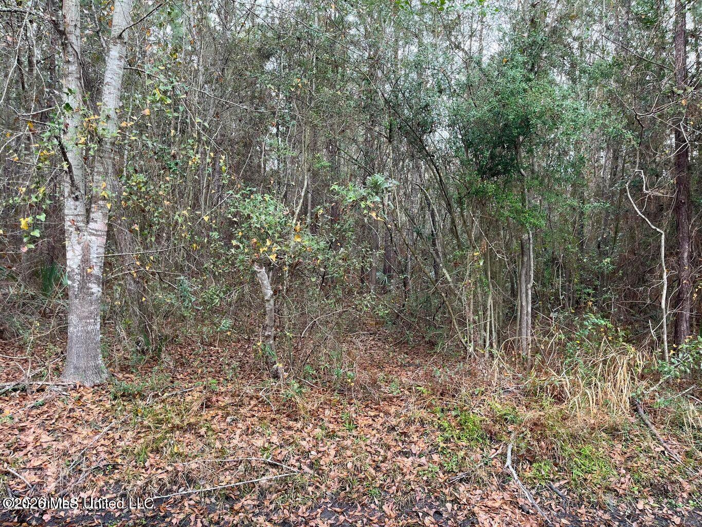 8th Street Property Photo 3