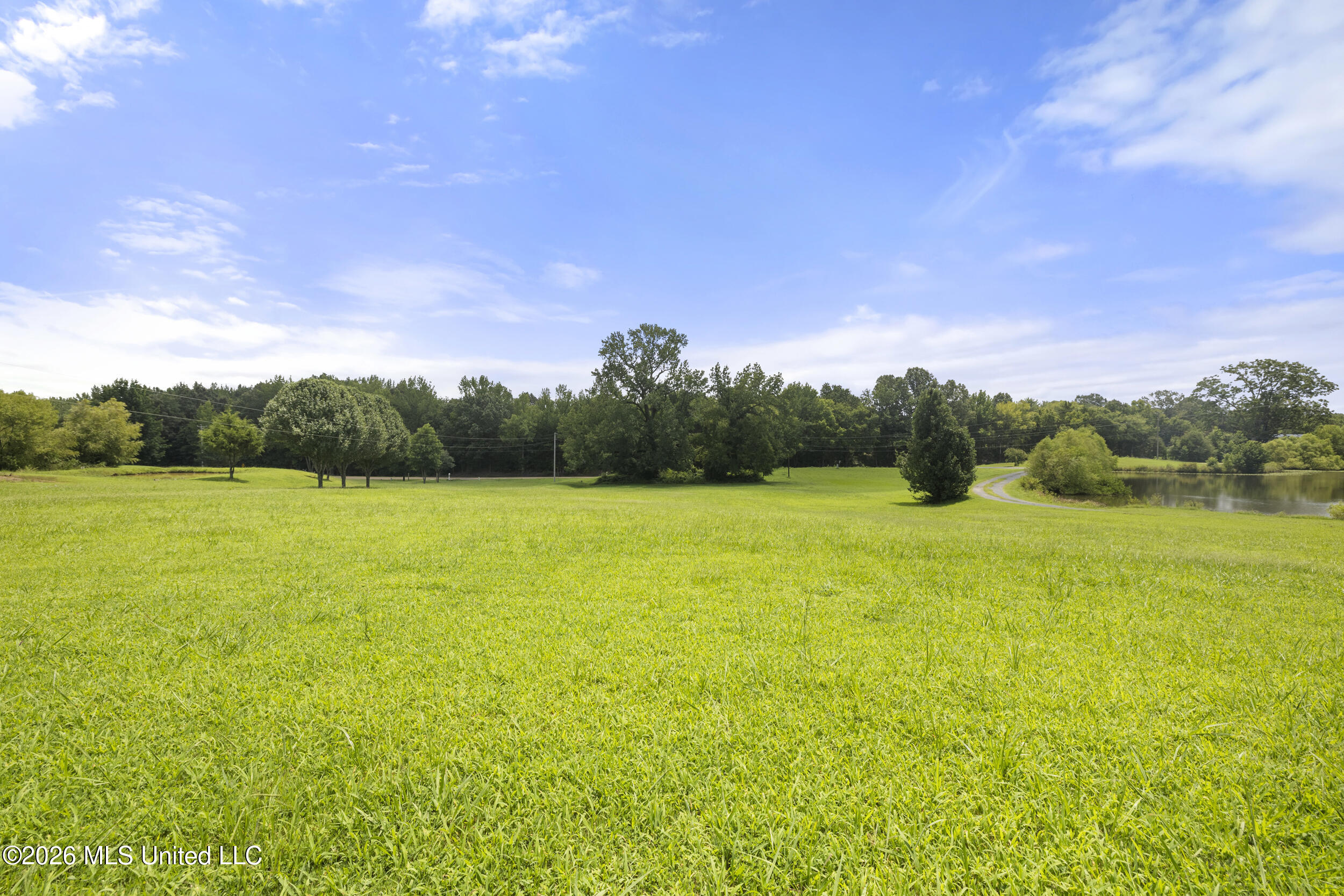 1459 N Red Banks Road Property Photo 19