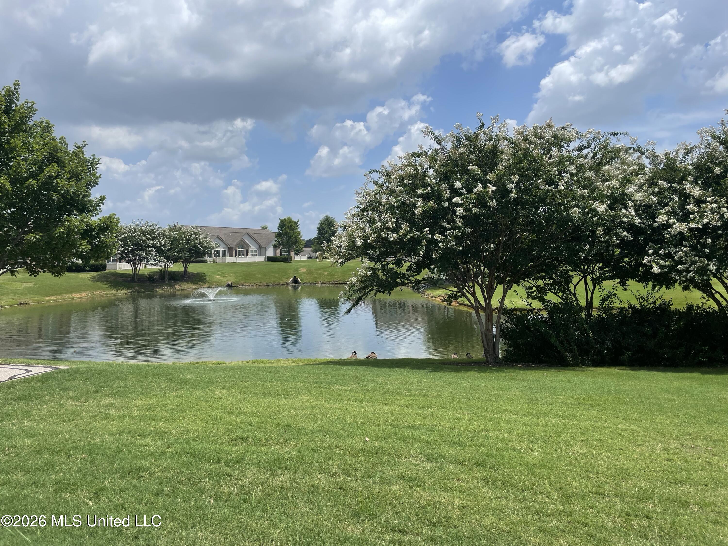 8673 Parkview Oaks Circle Property Photo 2