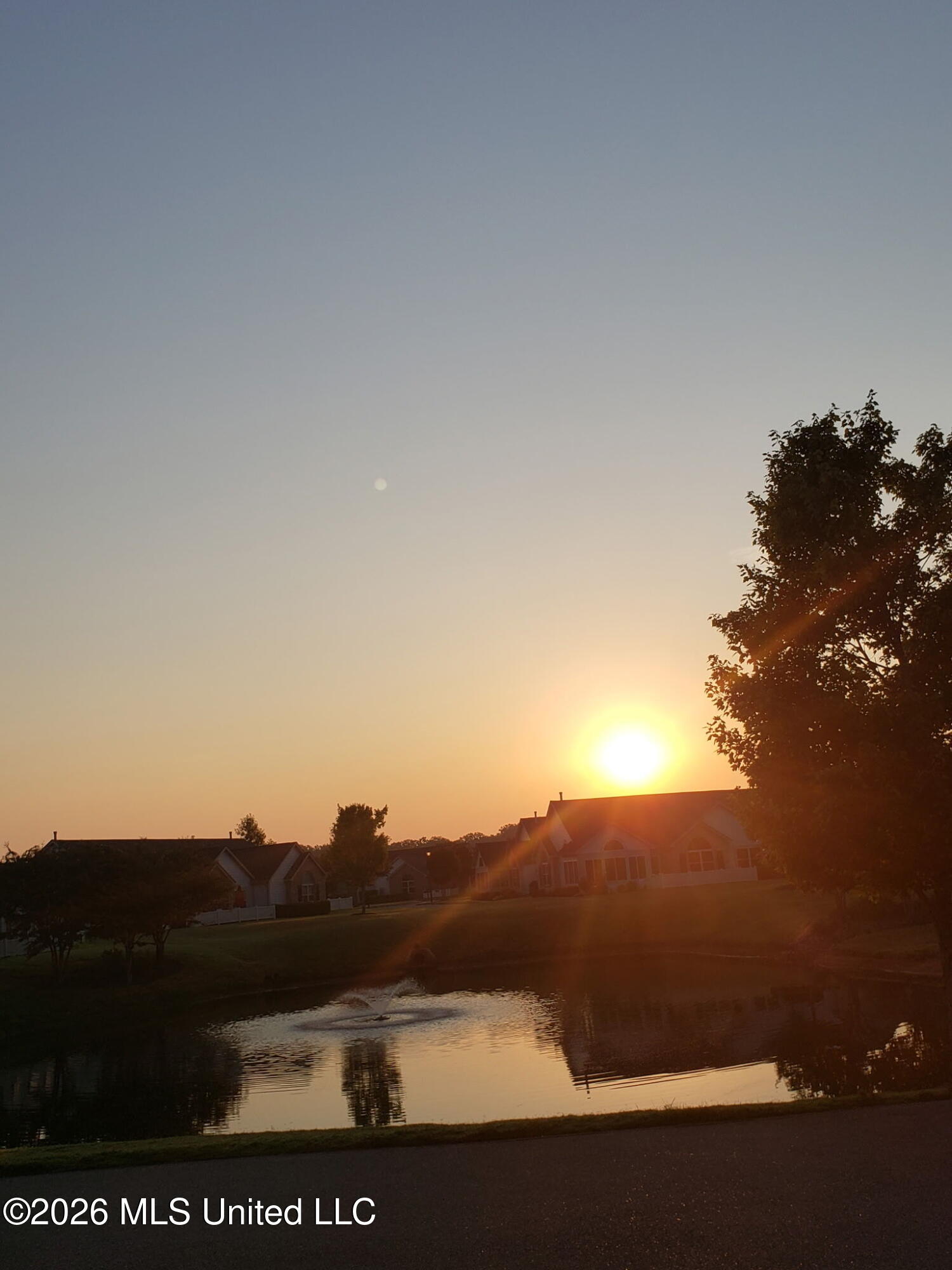 8673 Parkview Oaks Circle Property Photo 35