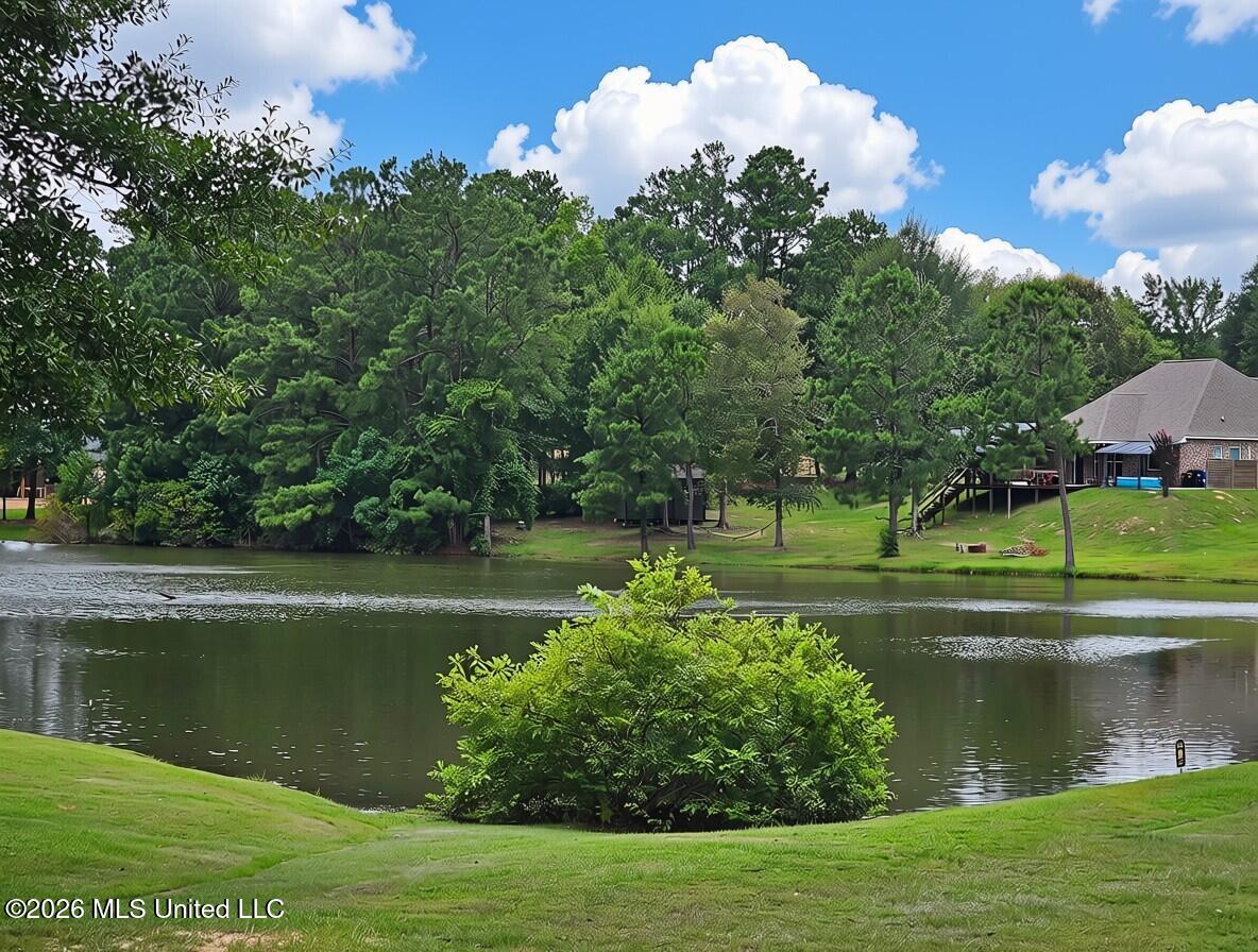 47 Knoll Creek Drive Property Photo 44