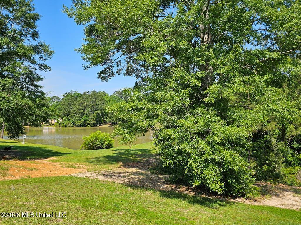 47 Knoll Creek Drive Property Photo 46