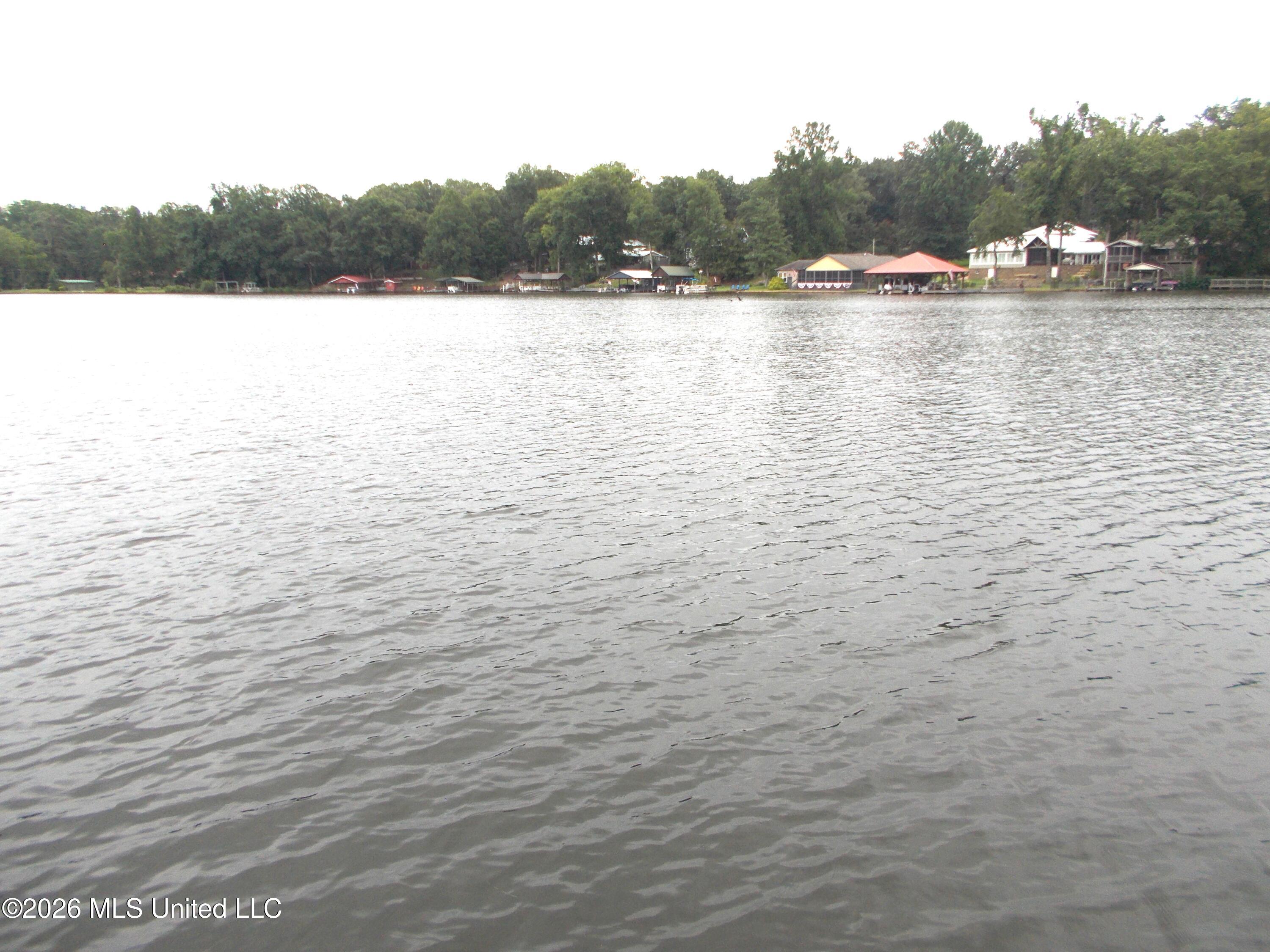 1725 Snow Lake Drive Property Photo 3