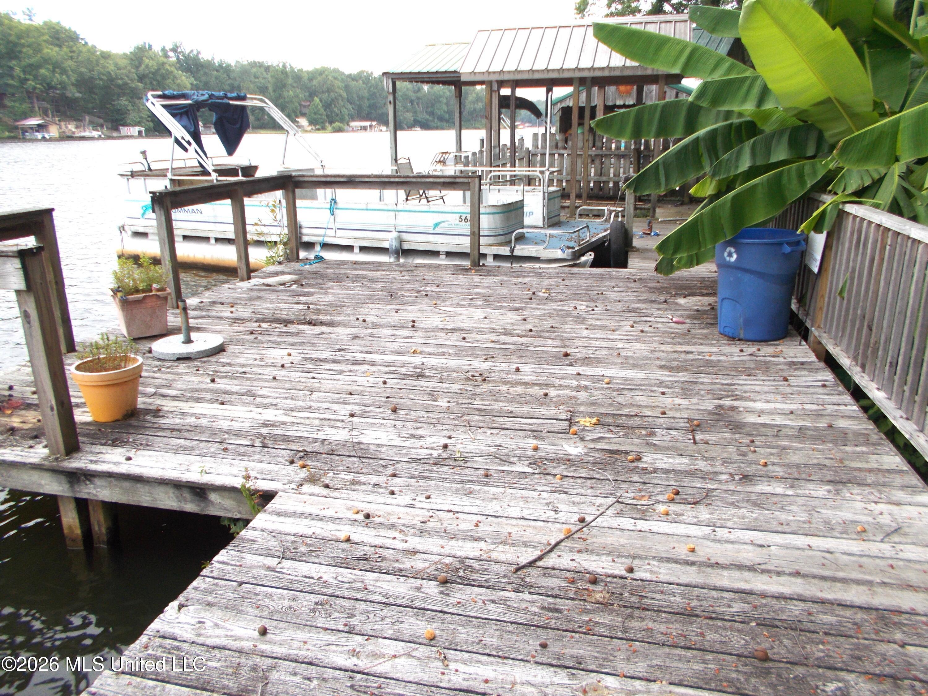 1725 Snow Lake Drive Property Photo 4