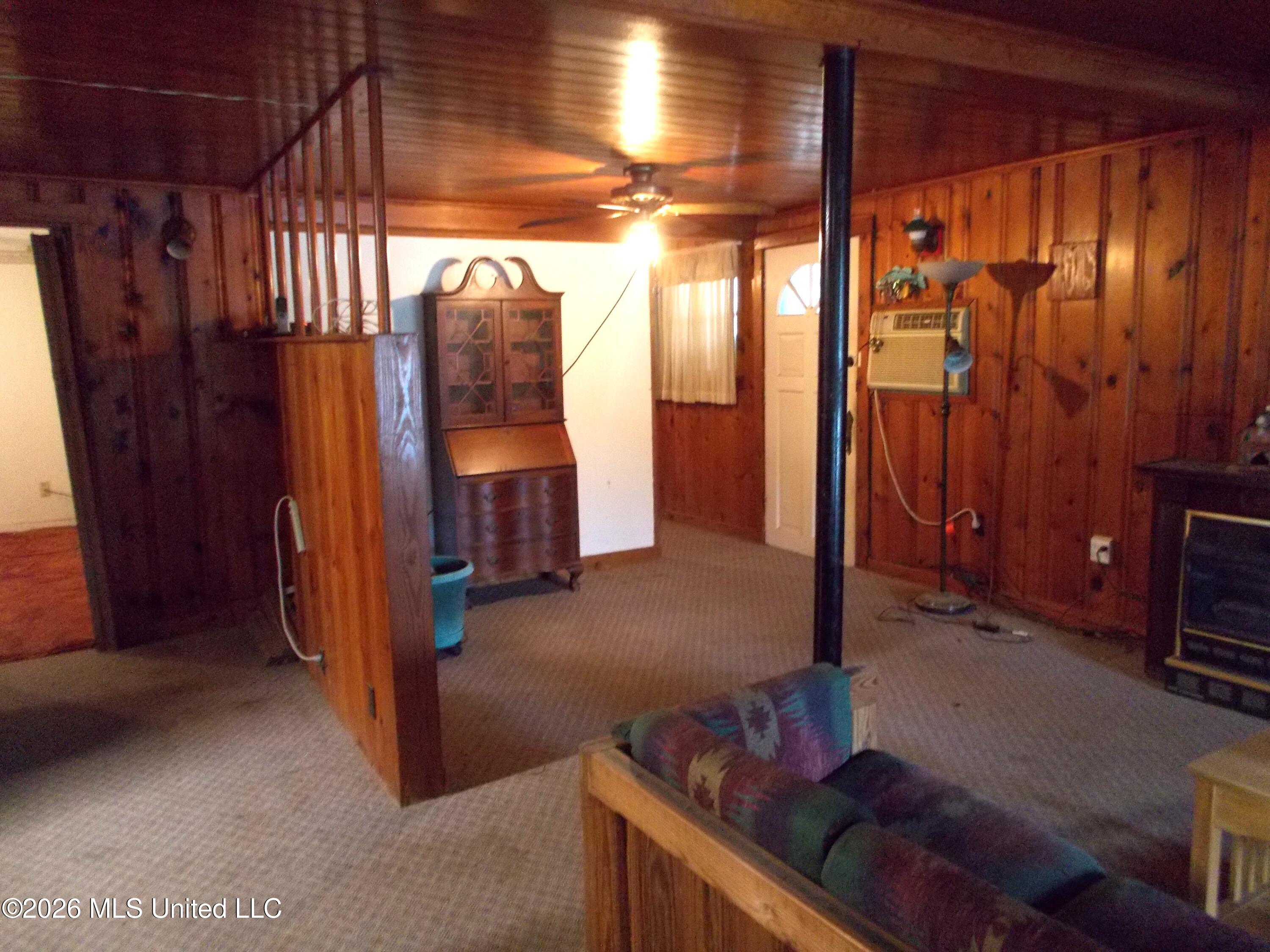 1725 Snow Lake Drive Property Photo 9