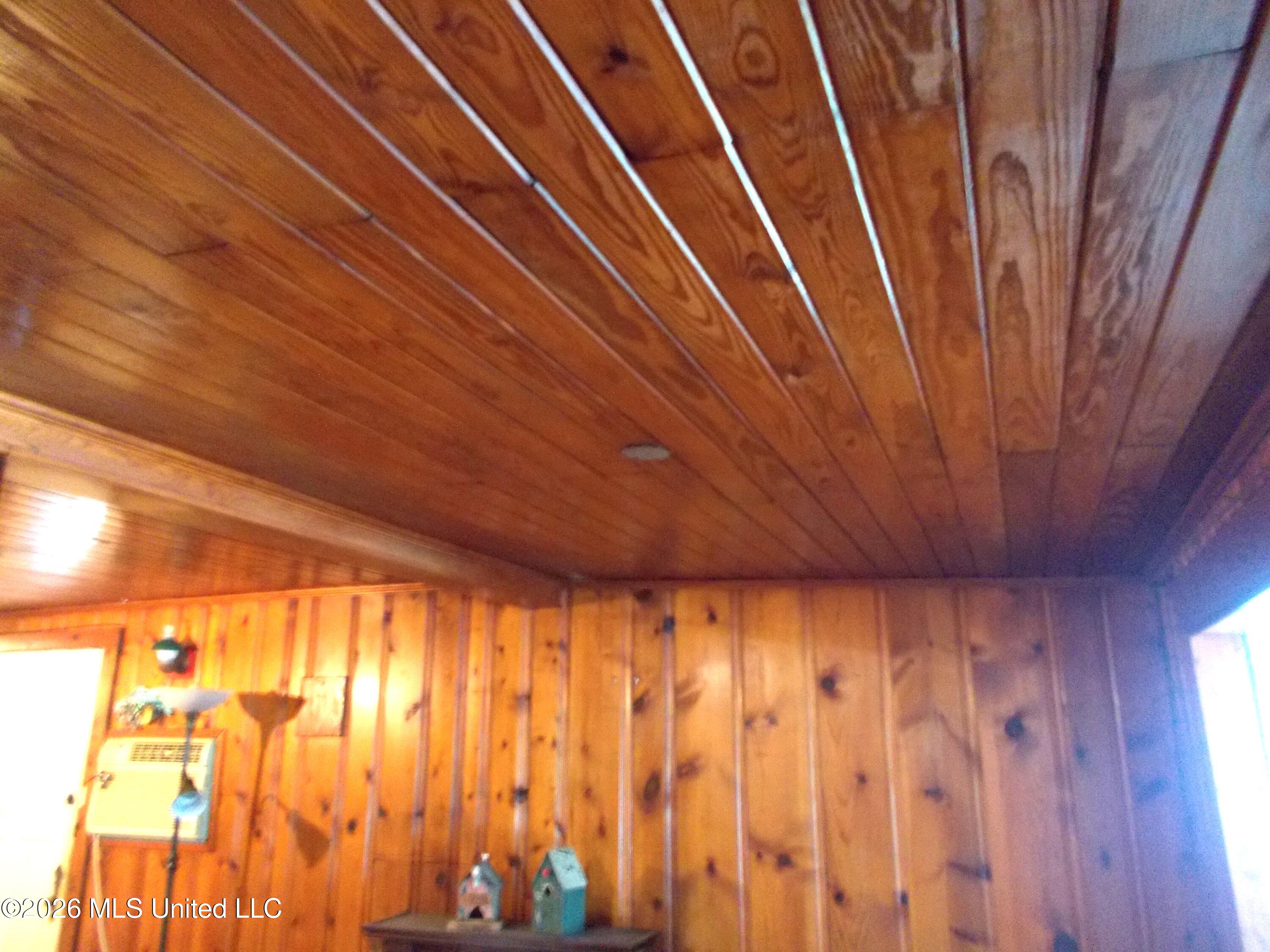 1725 Snow Lake Drive Property Photo 10