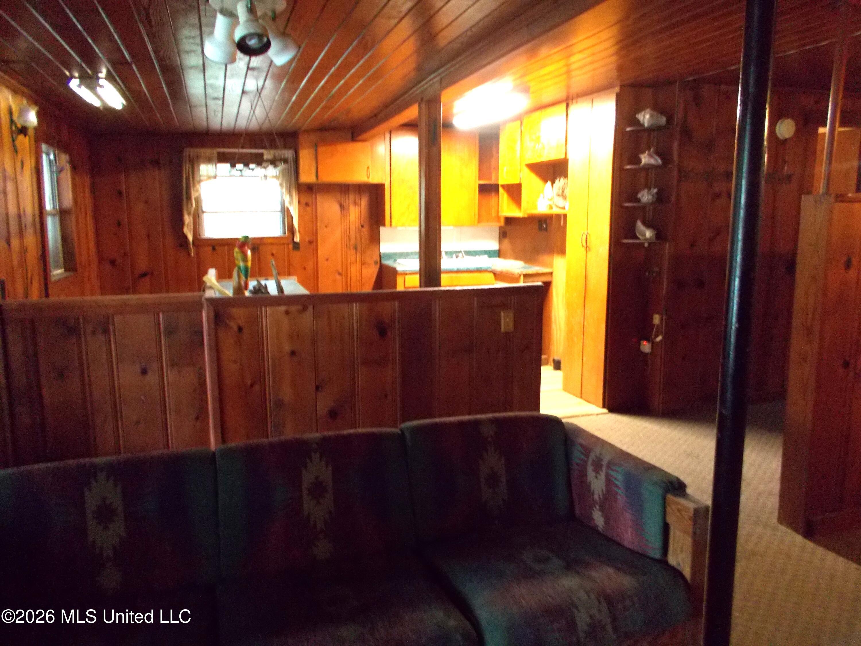 1725 Snow Lake Drive Property Photo 11