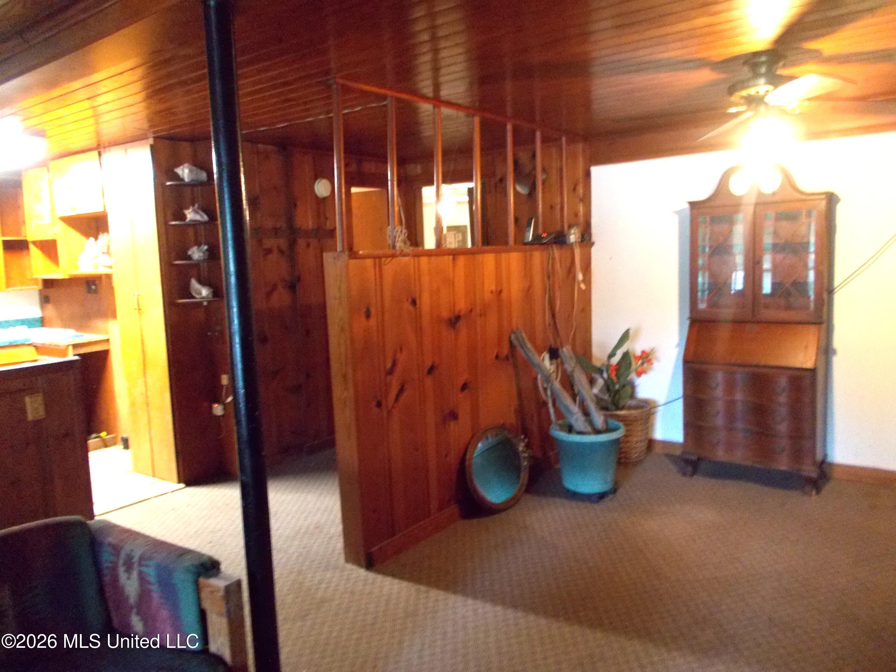 1725 Snow Lake Drive Property Photo 12