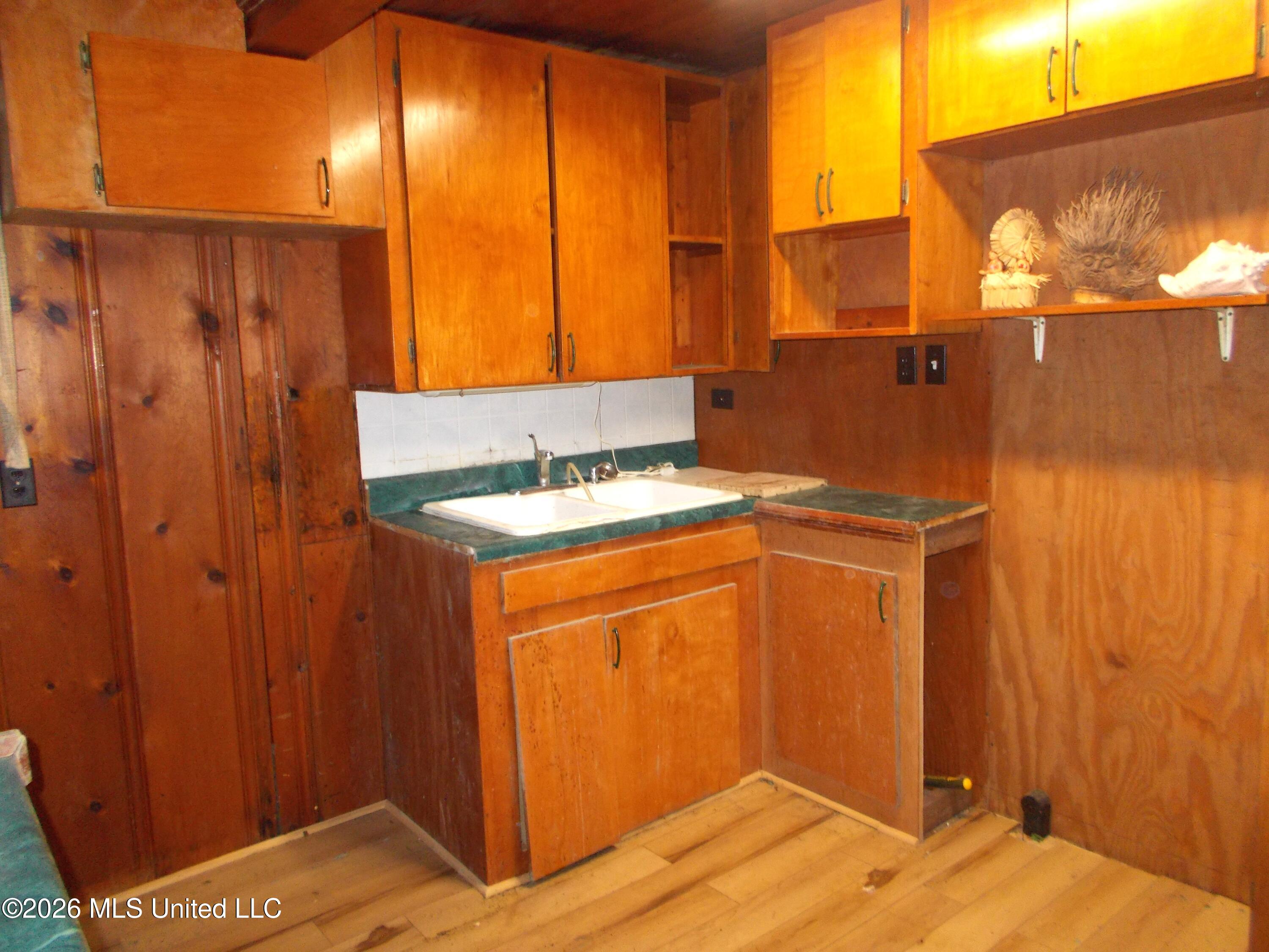 1725 Snow Lake Drive Property Photo 13