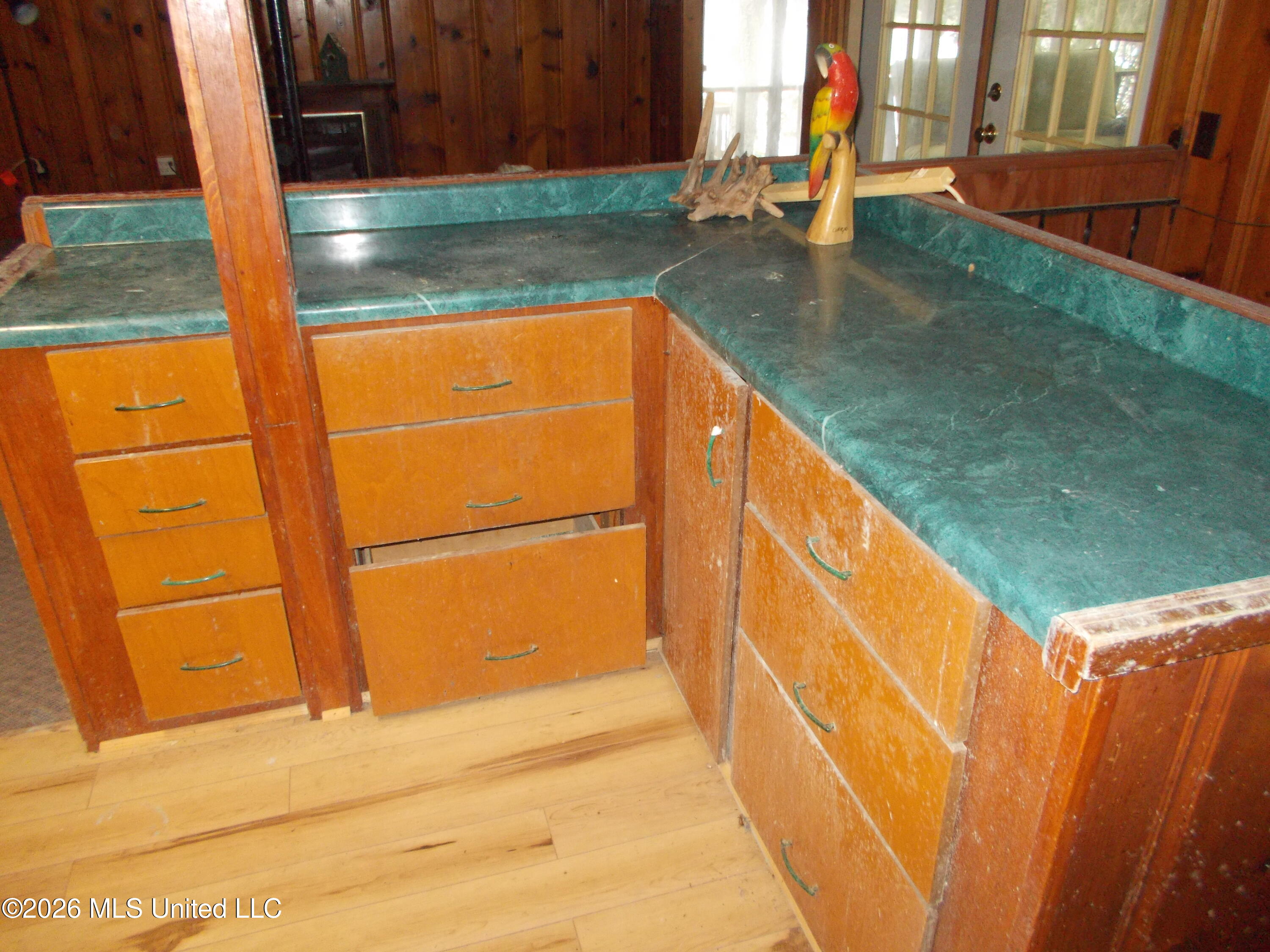1725 Snow Lake Drive Property Photo 14