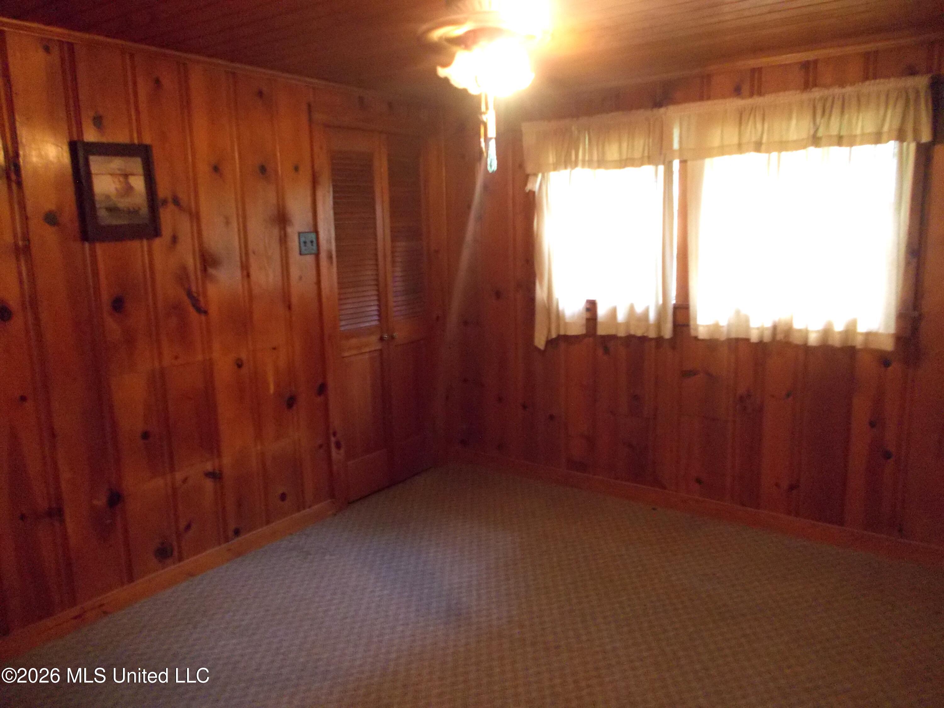 1725 Snow Lake Drive Property Photo 15