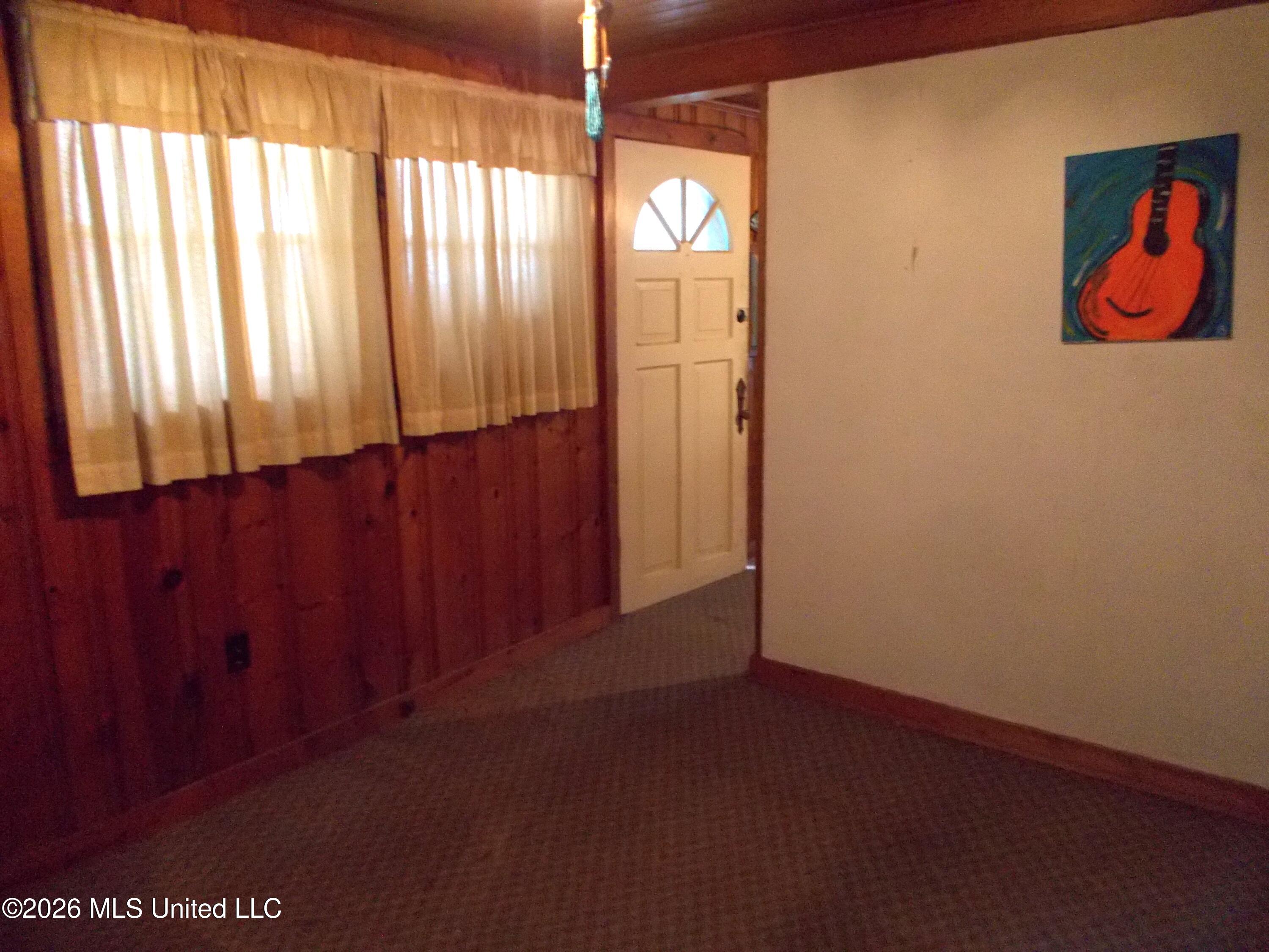 1725 Snow Lake Drive Property Photo 16