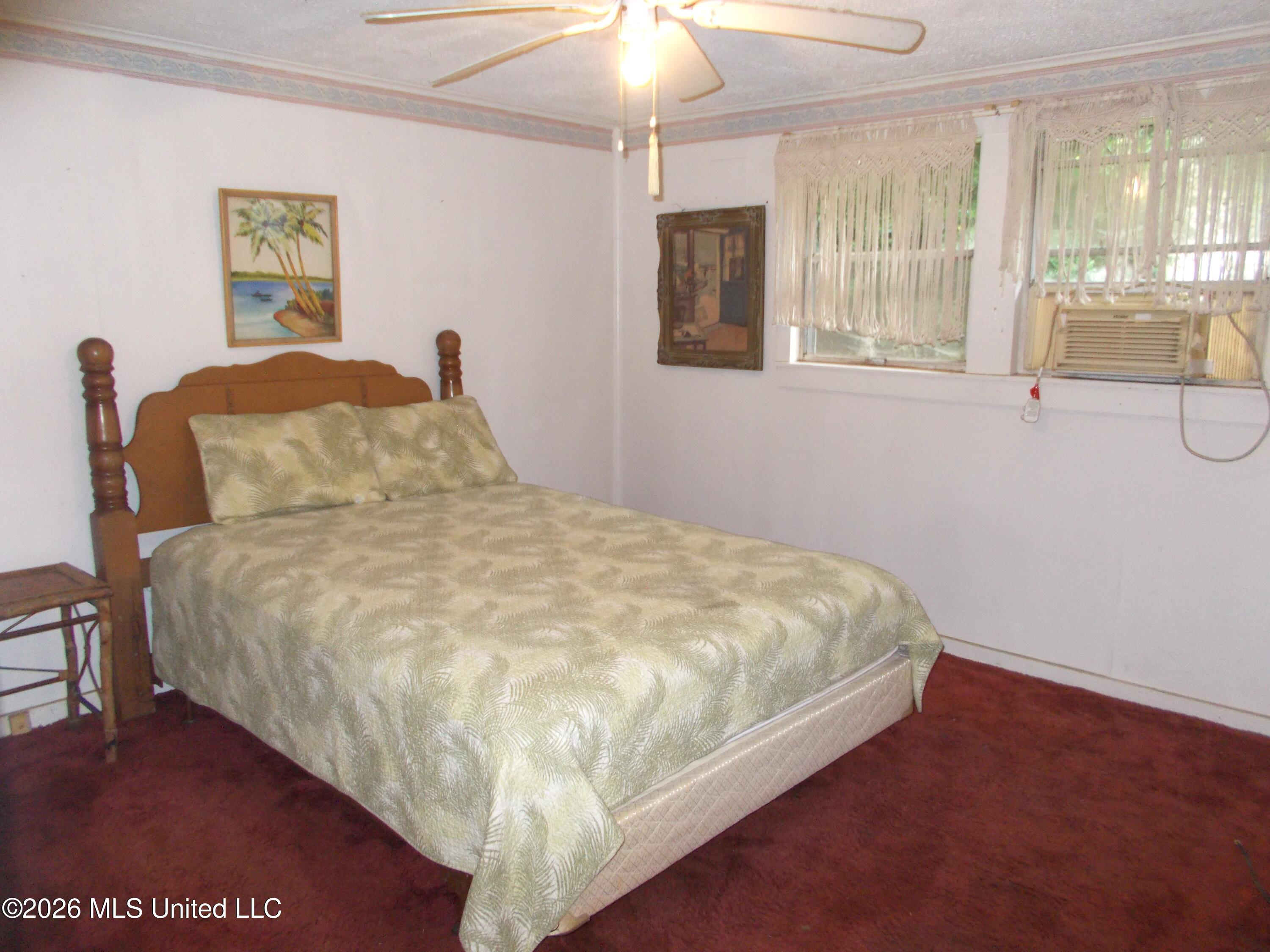 1725 Snow Lake Drive Property Photo 17