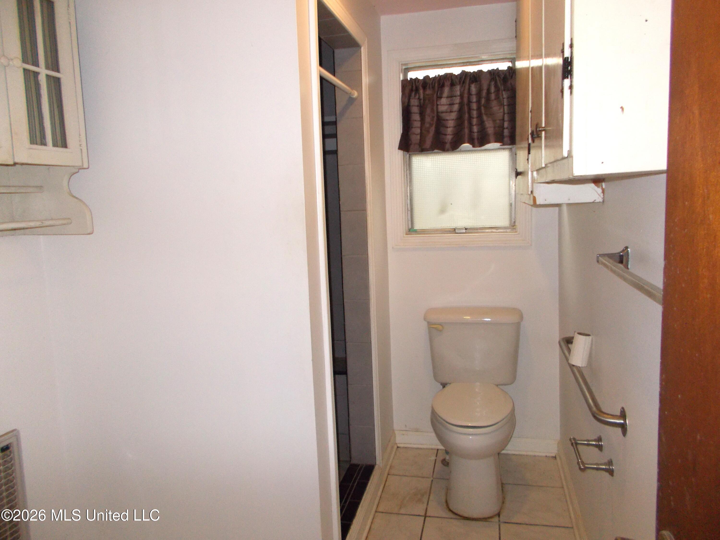 1725 Snow Lake Drive Property Photo 18