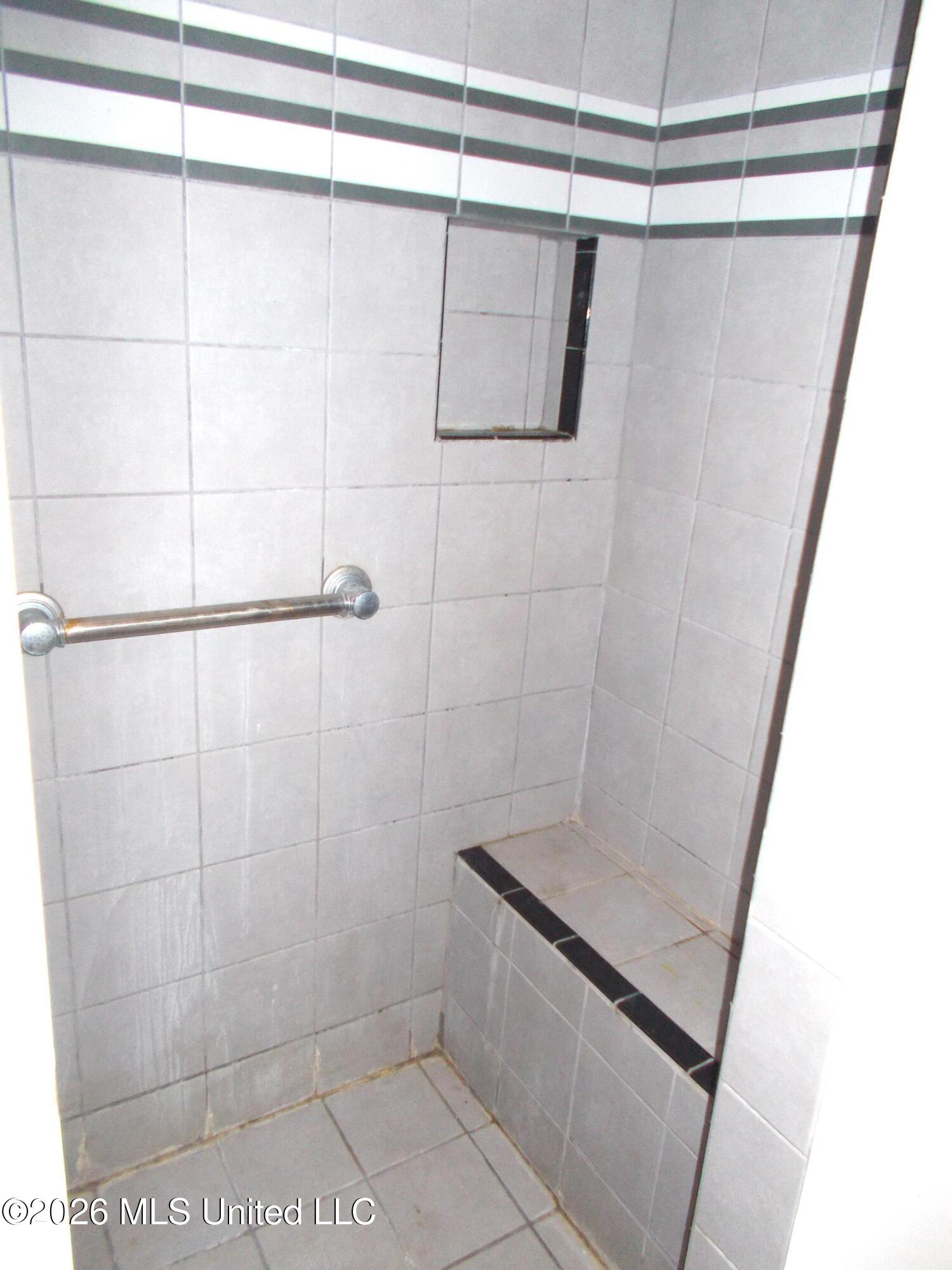1725 Snow Lake Drive Property Photo 19