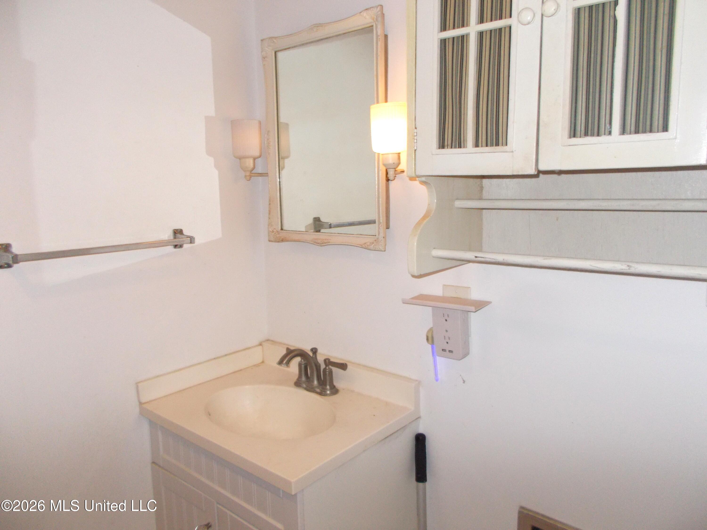 1725 Snow Lake Drive Property Photo 20