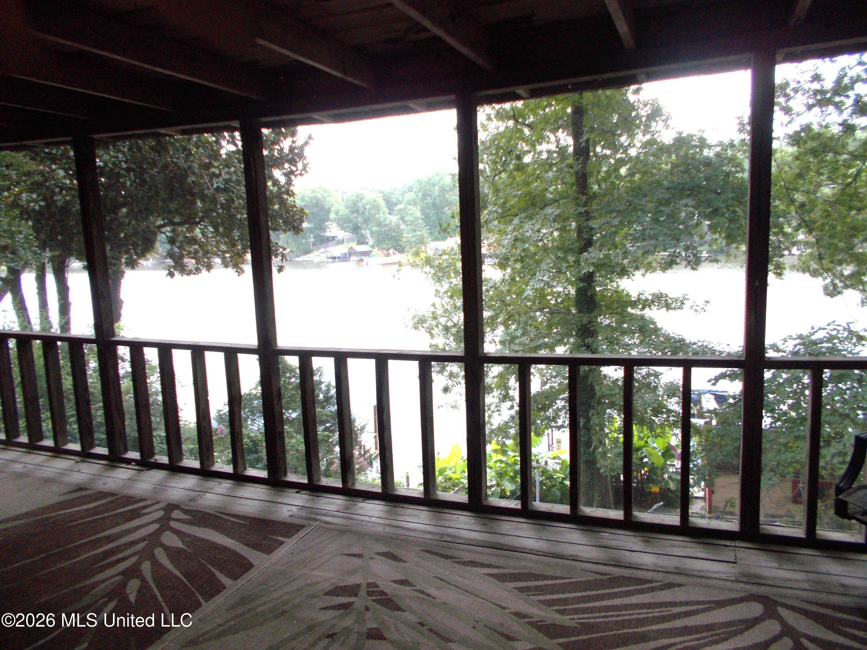 1725 Snow Lake Drive Property Photo 23