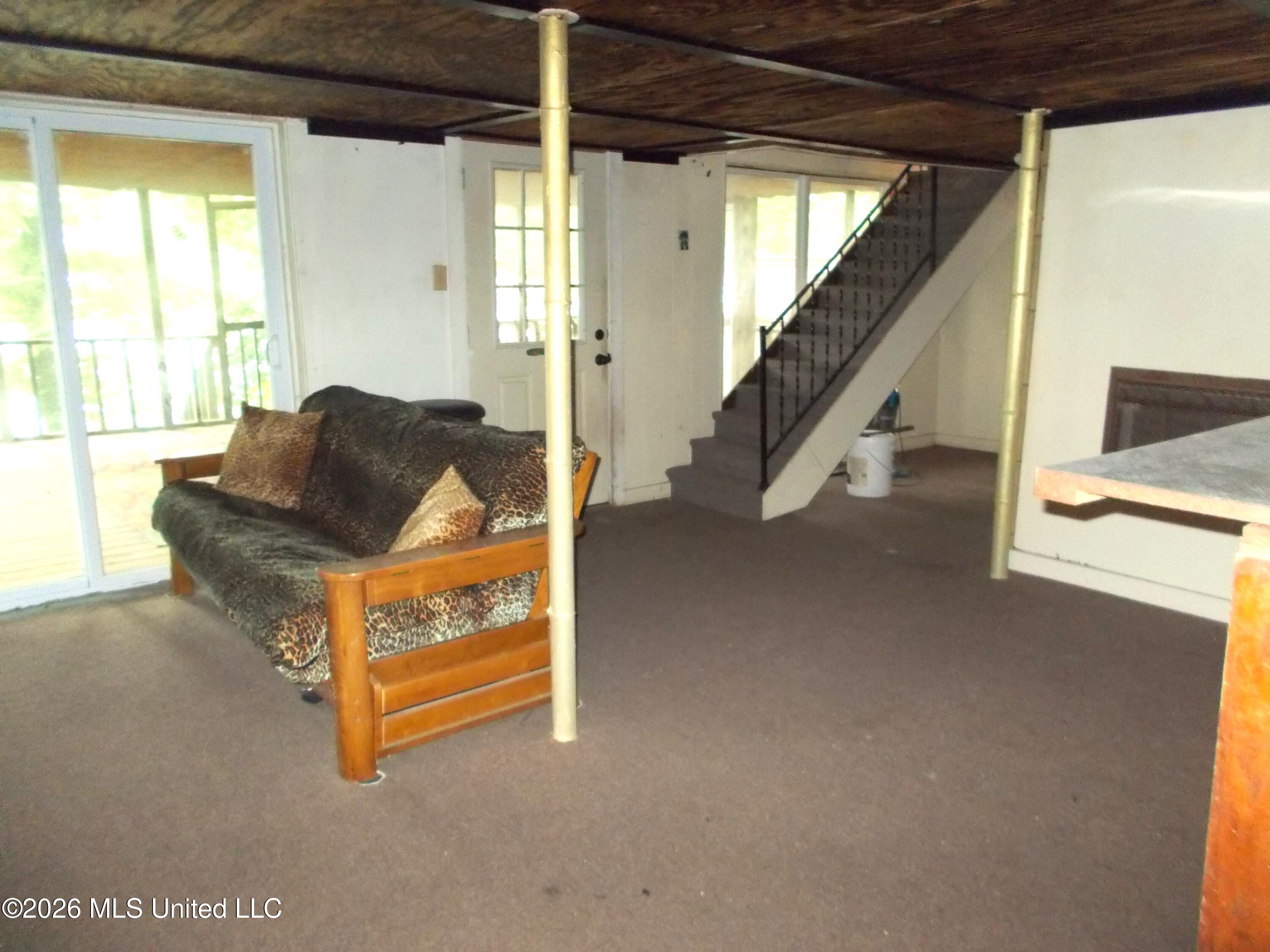 1725 Snow Lake Drive Property Photo 26