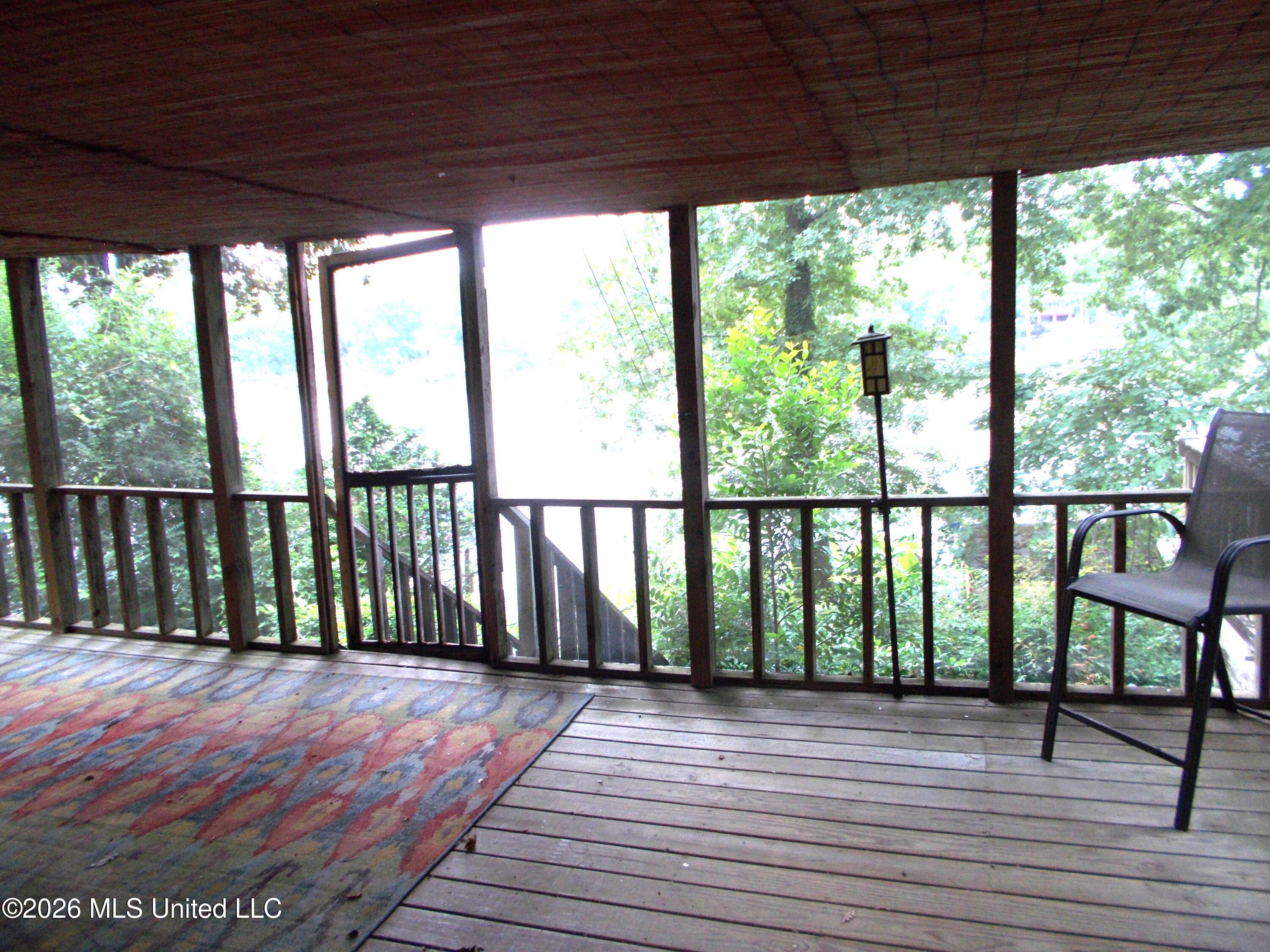 1725 Snow Lake Drive Property Photo 33