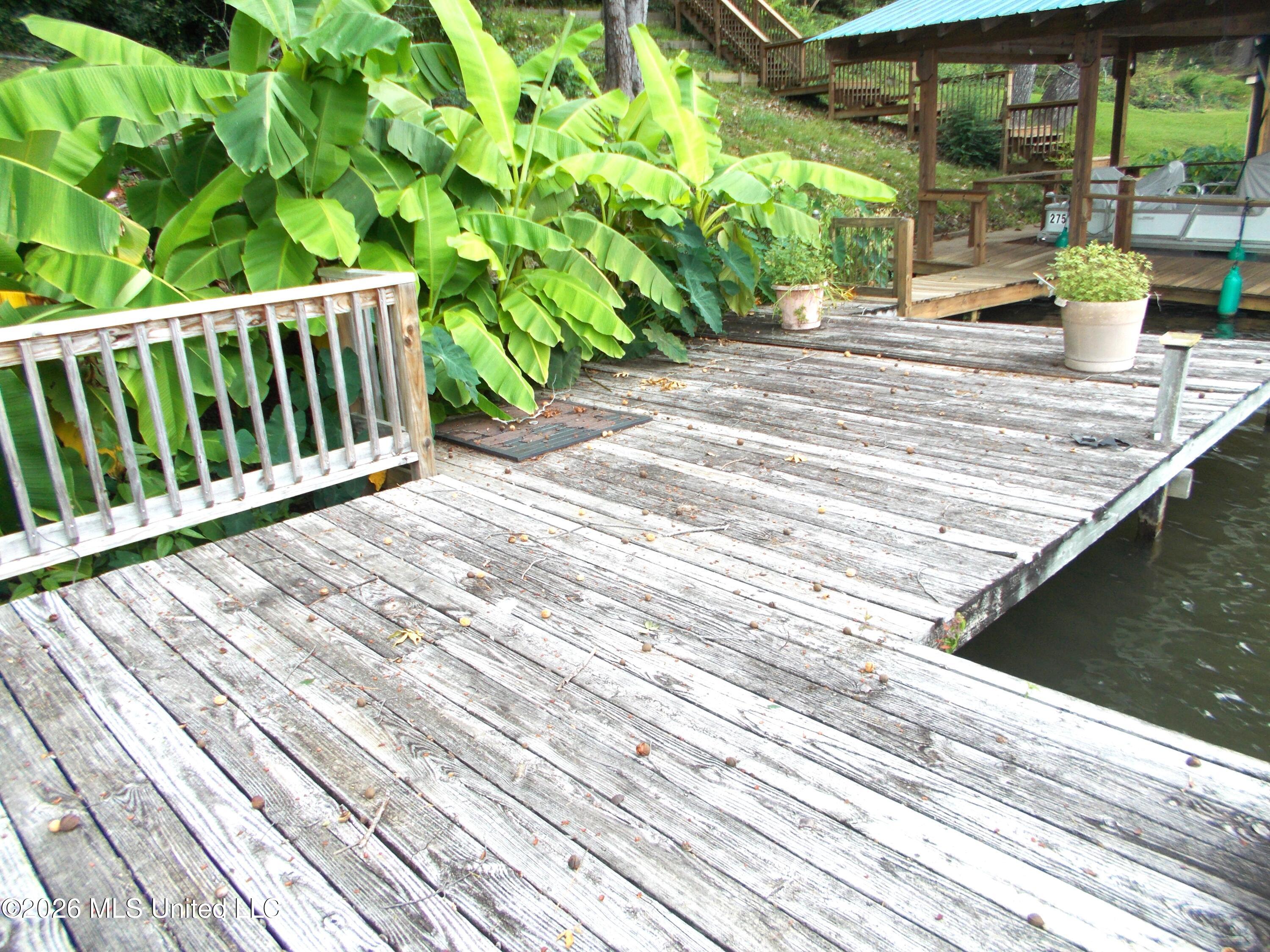 1725 Snow Lake Drive Property Photo 34
