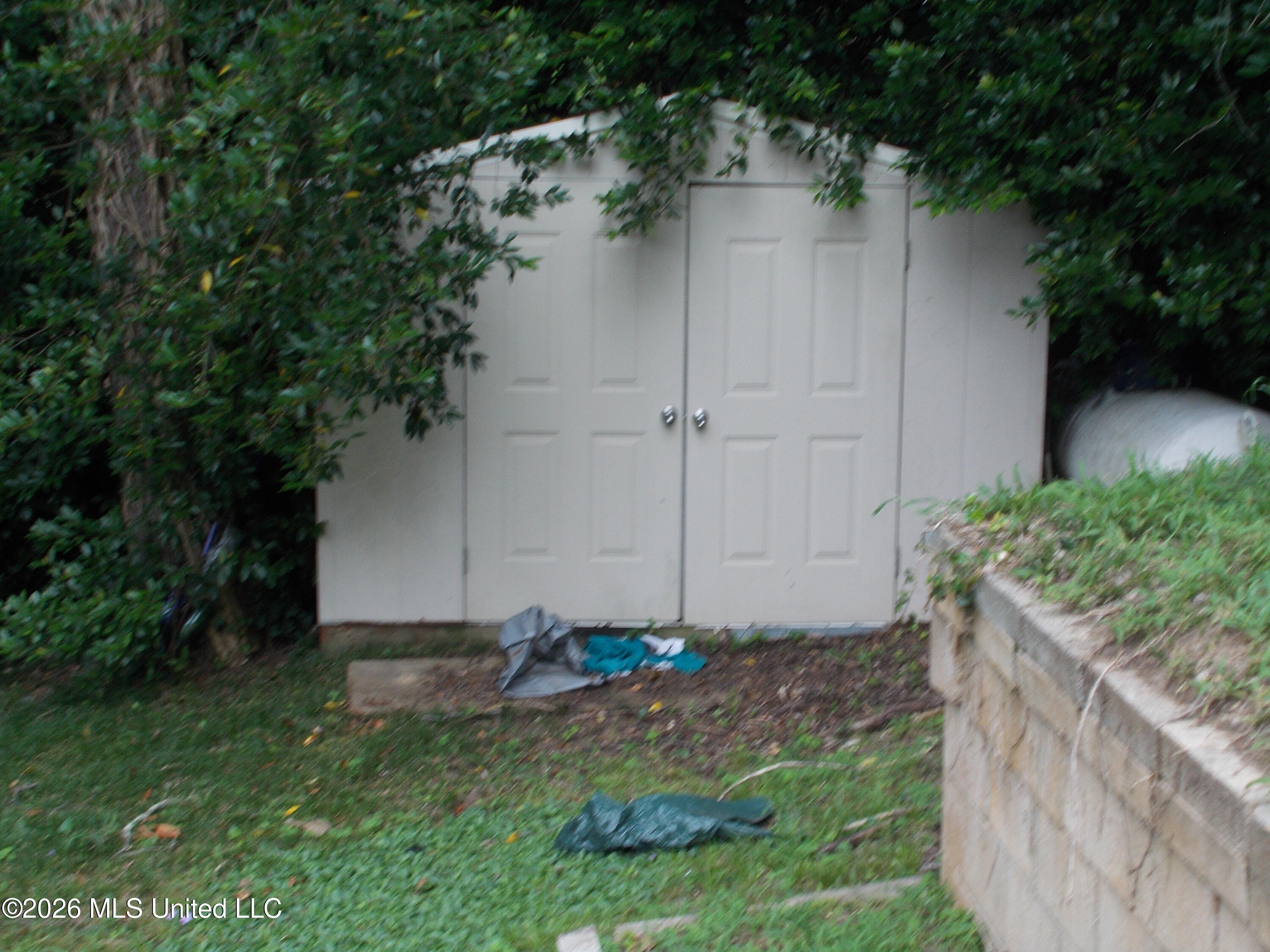 1725 Snow Lake Drive Property Photo 37