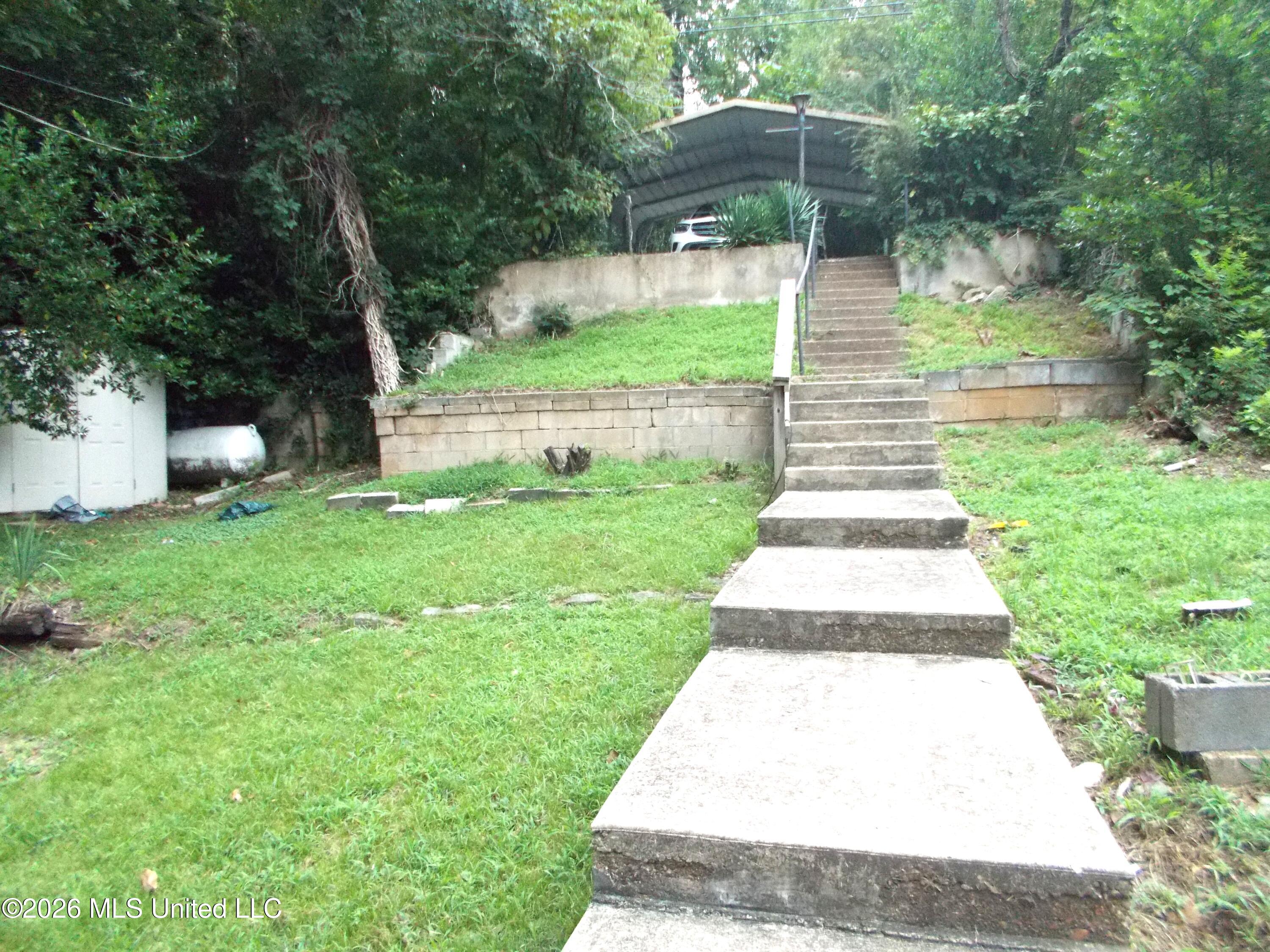 1725 Snow Lake Drive Property Photo 38