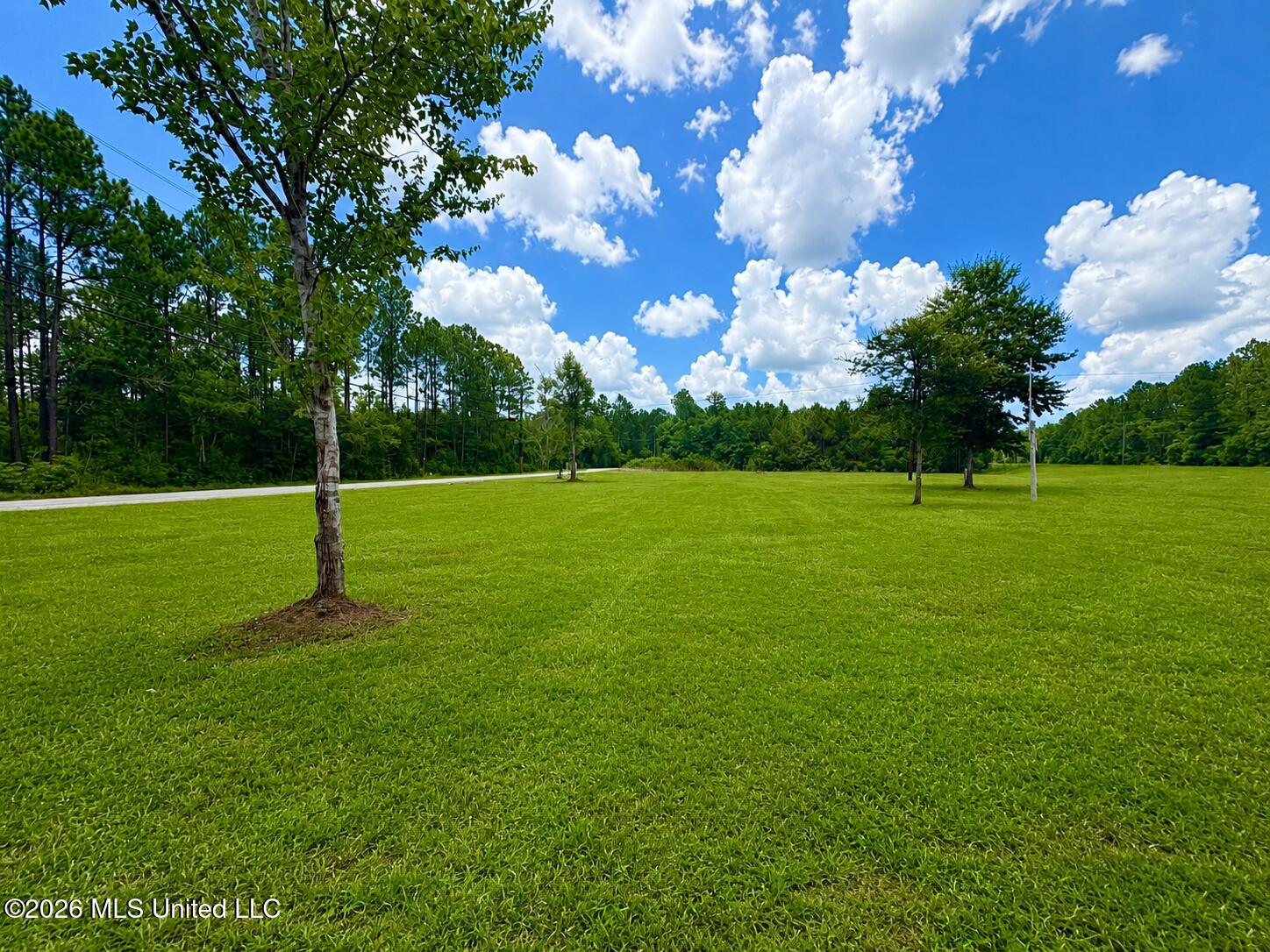Nka Mississippi 614 Property Photo 5