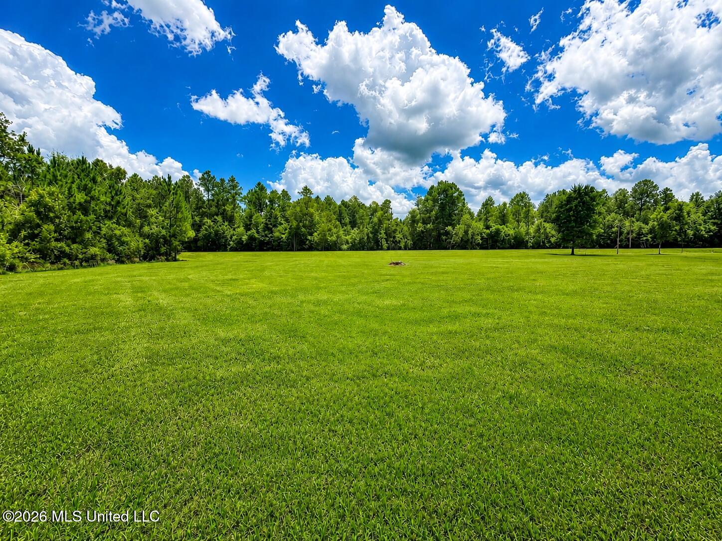 Nka Mississippi 614 Property Photo 10