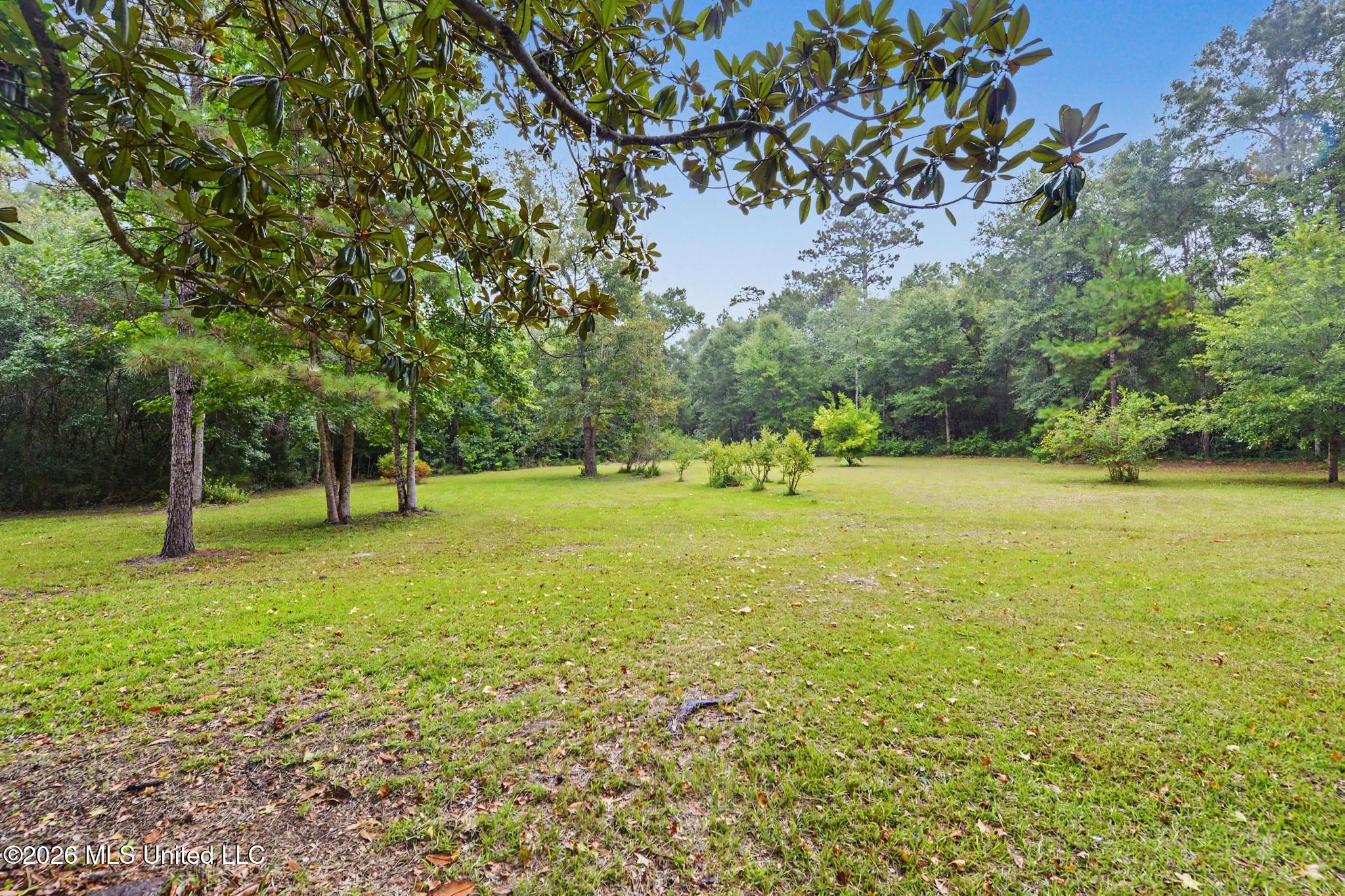 13196 Riverland Drive Property Photo 32