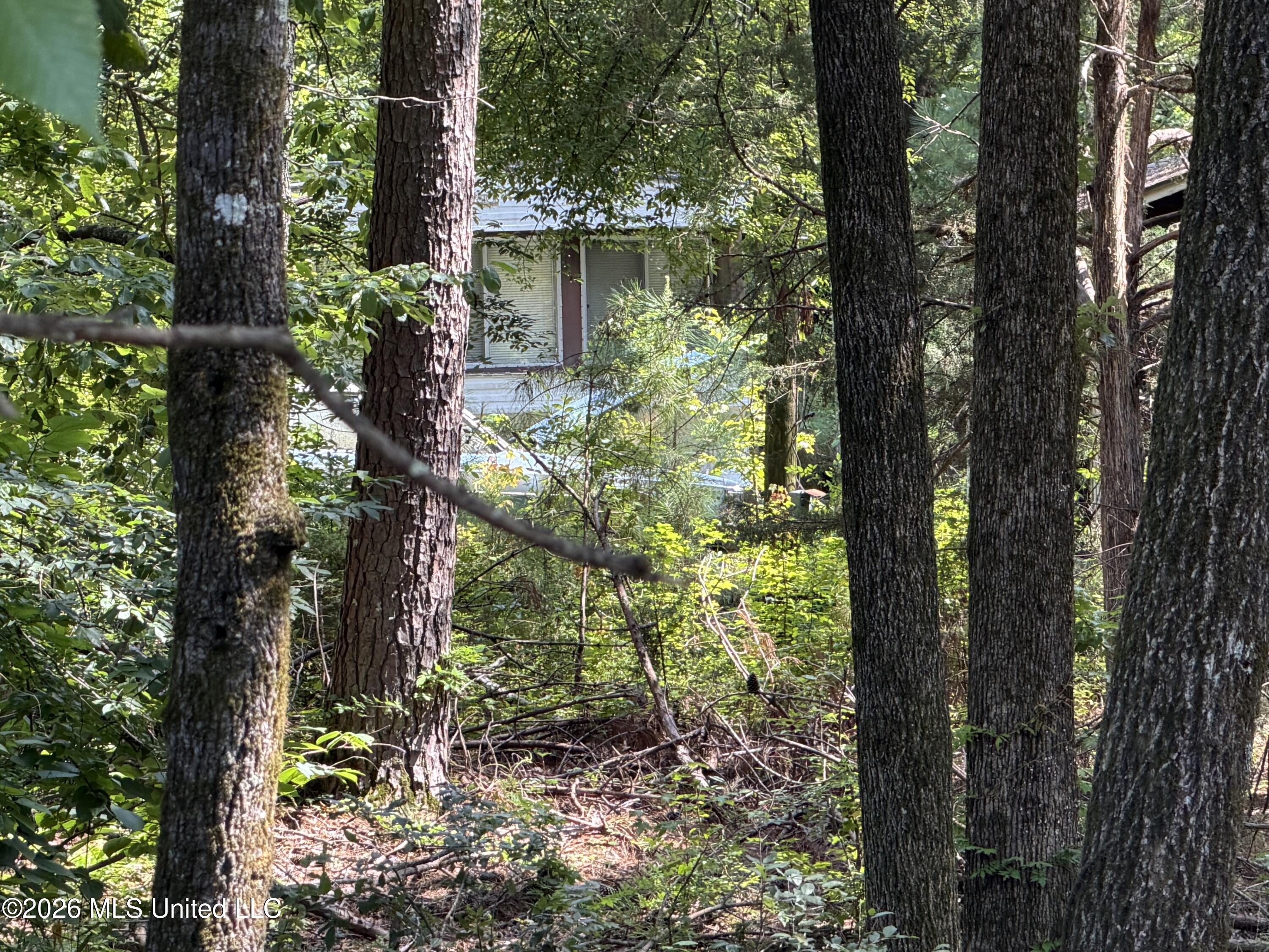 4555 Sardis Lake Drive Property Photo 1