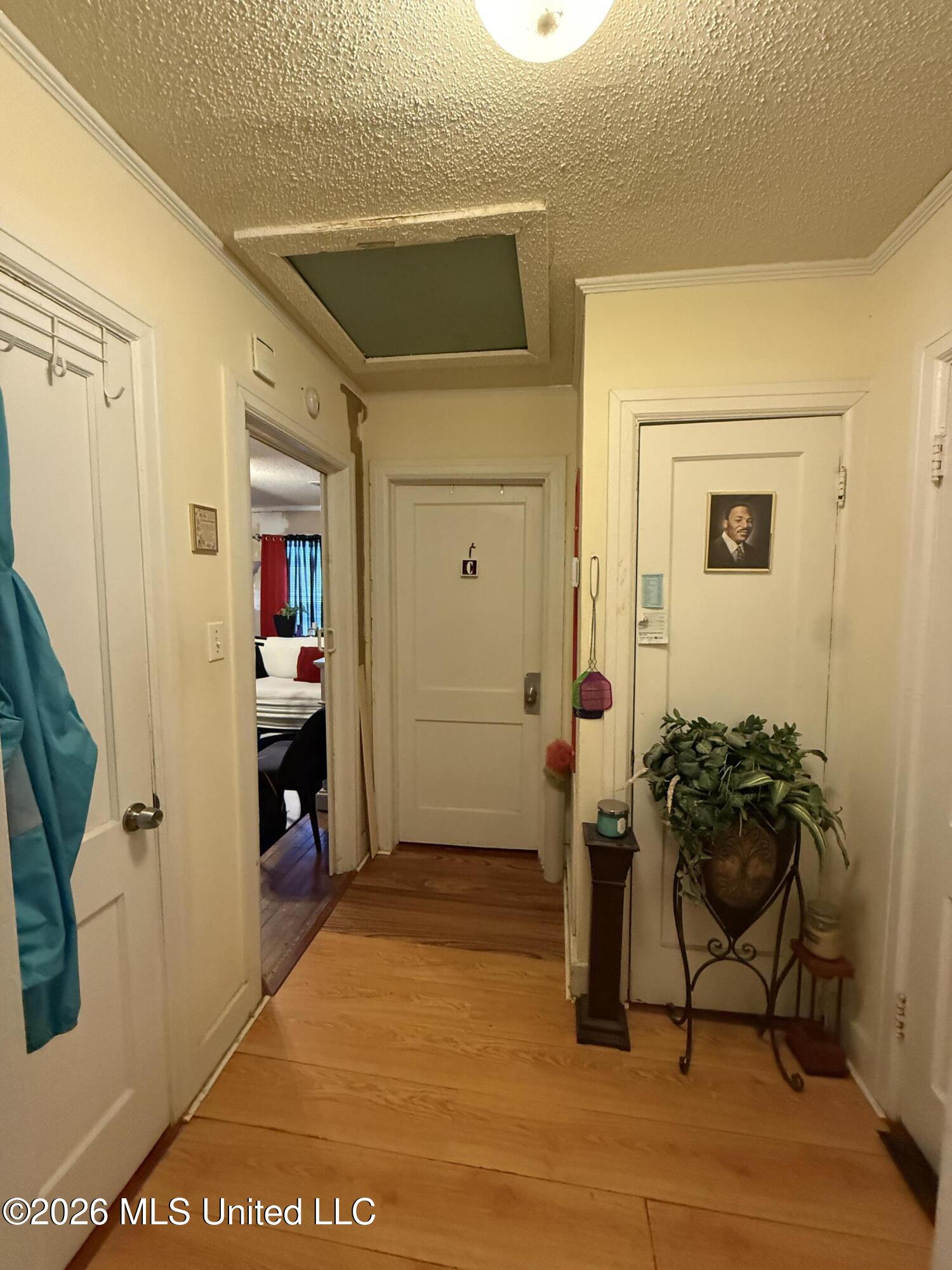 178 Violet Street Property Photo 11