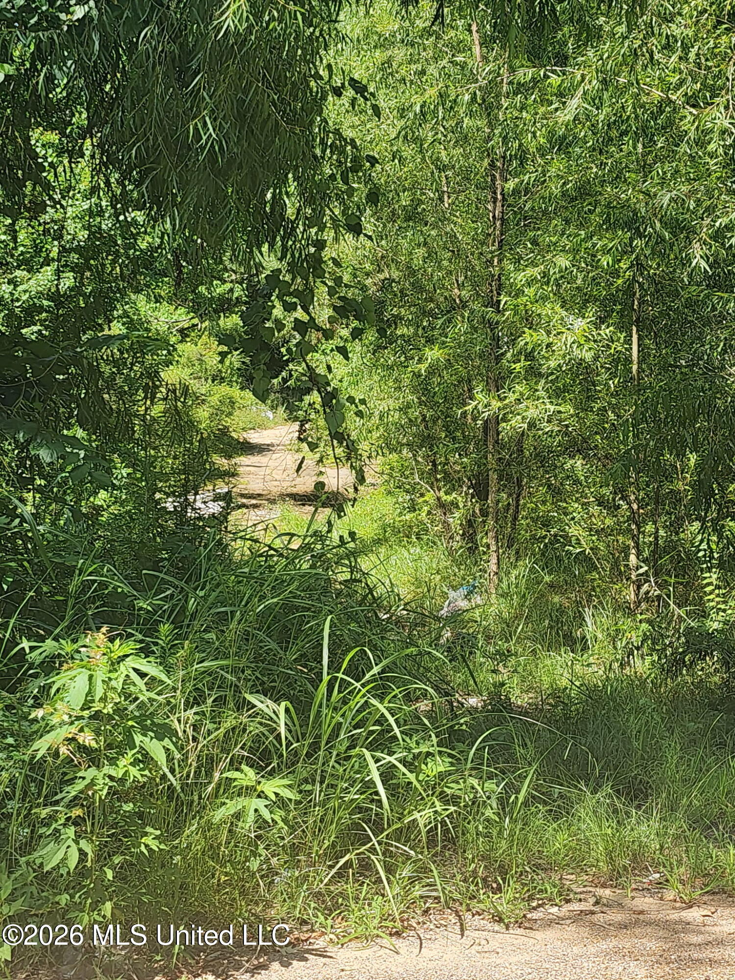 3210 Forest Avenue Ext Property Photo 4