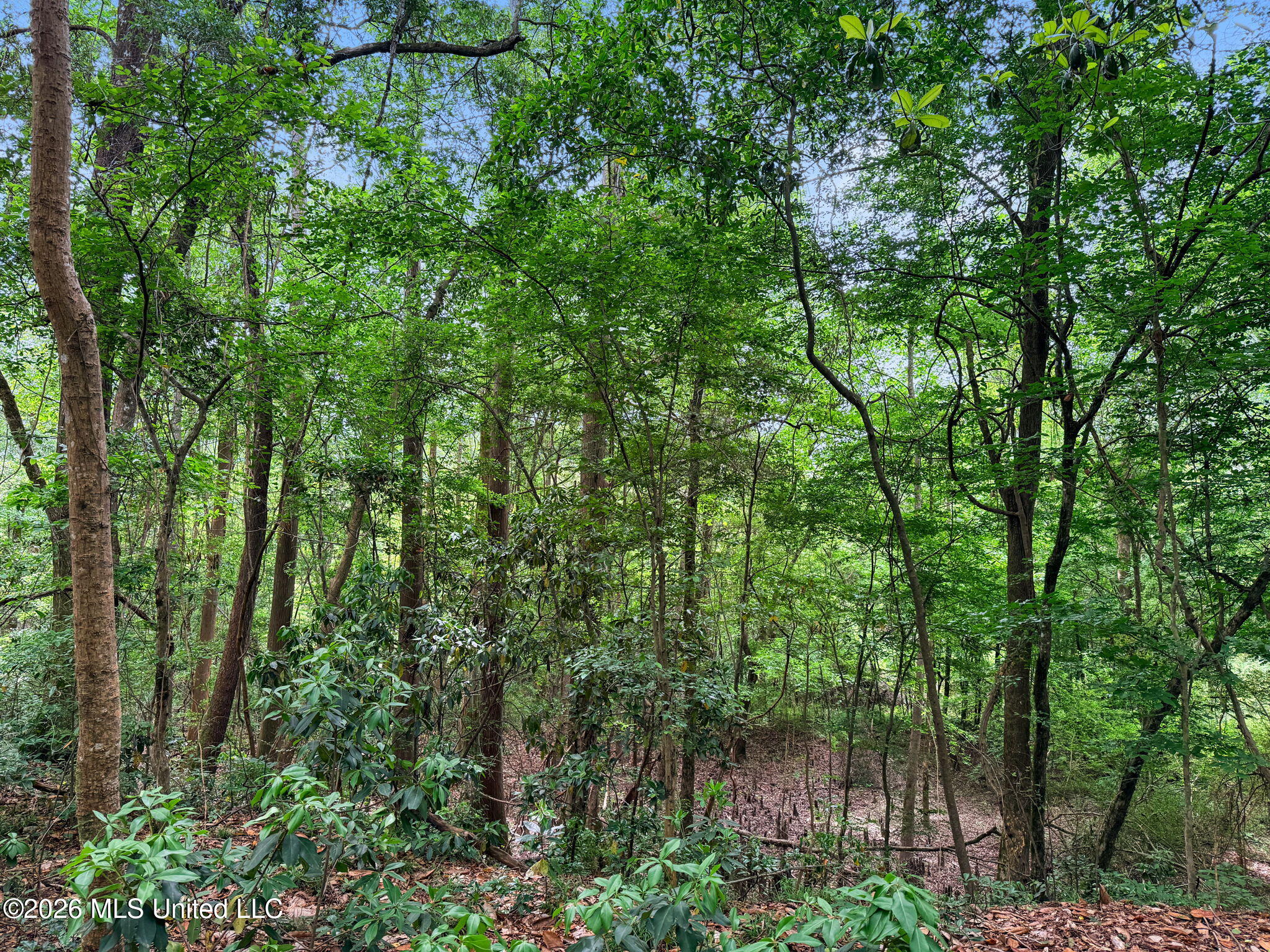 1230 Morriston Road Property Photo 40
