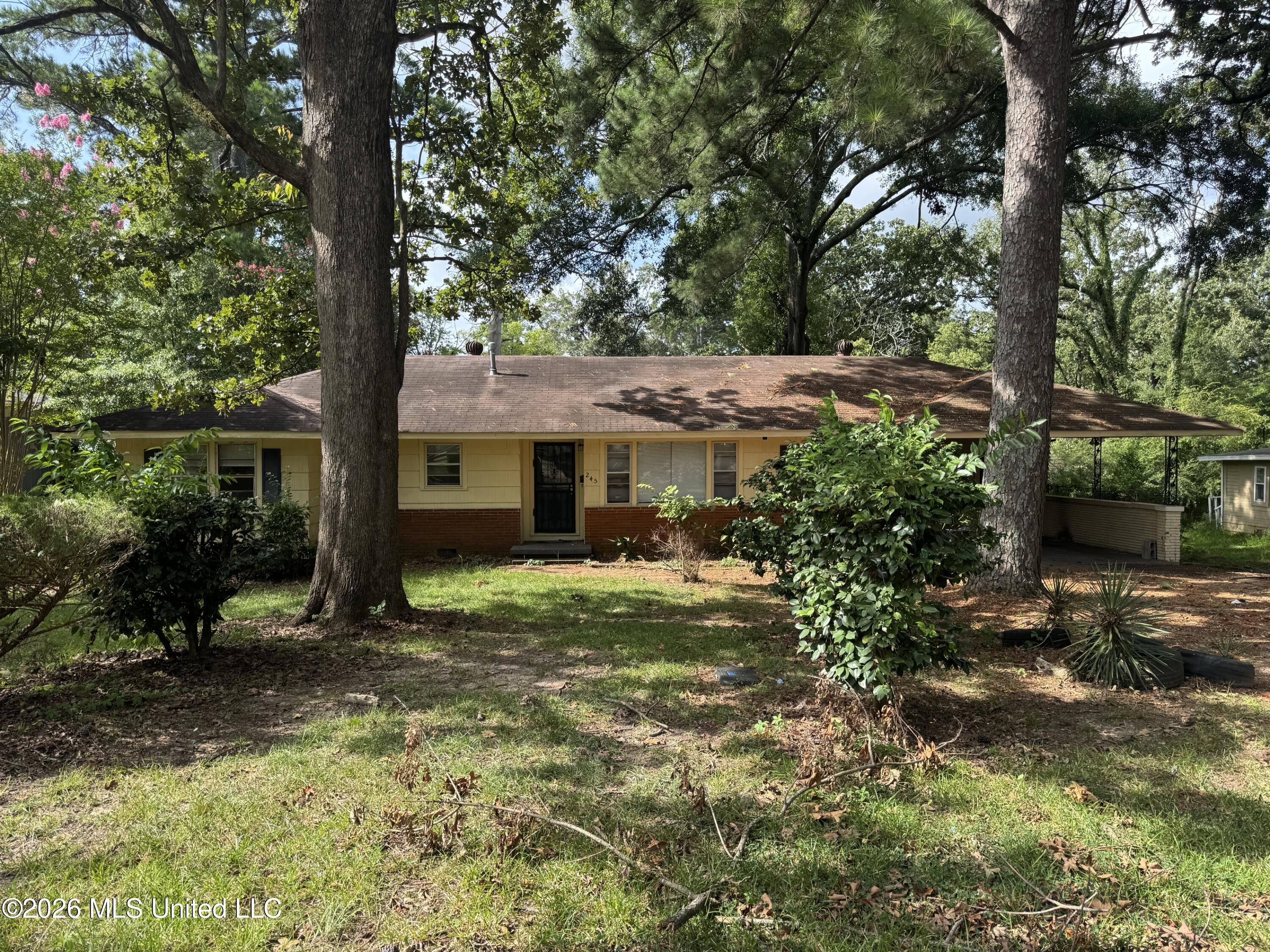 245 Shady Circle Property Photo 1