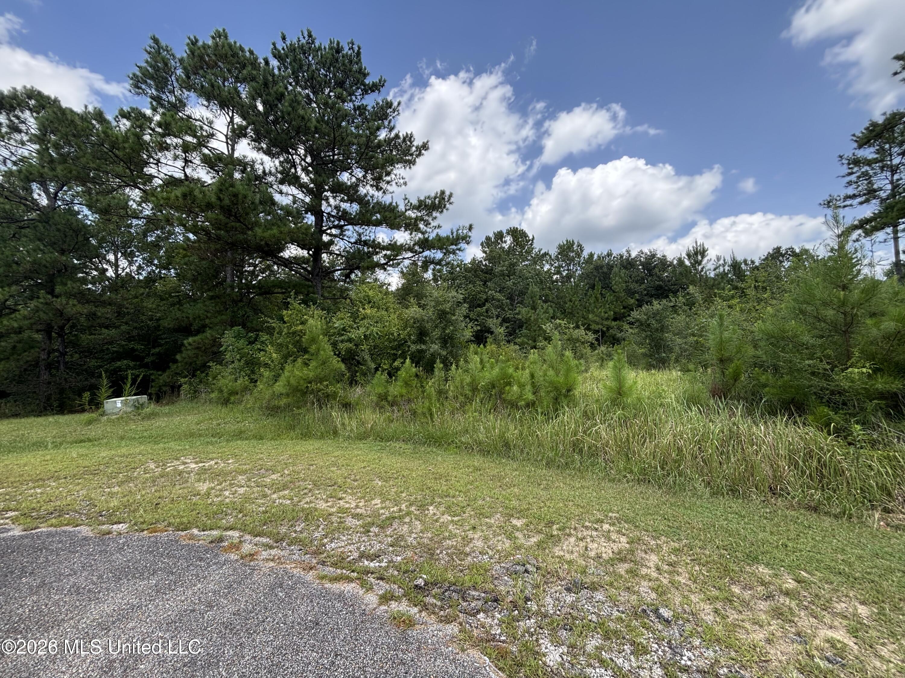 Lots 92 & 93 Evergreen Drive Property Photo 3
