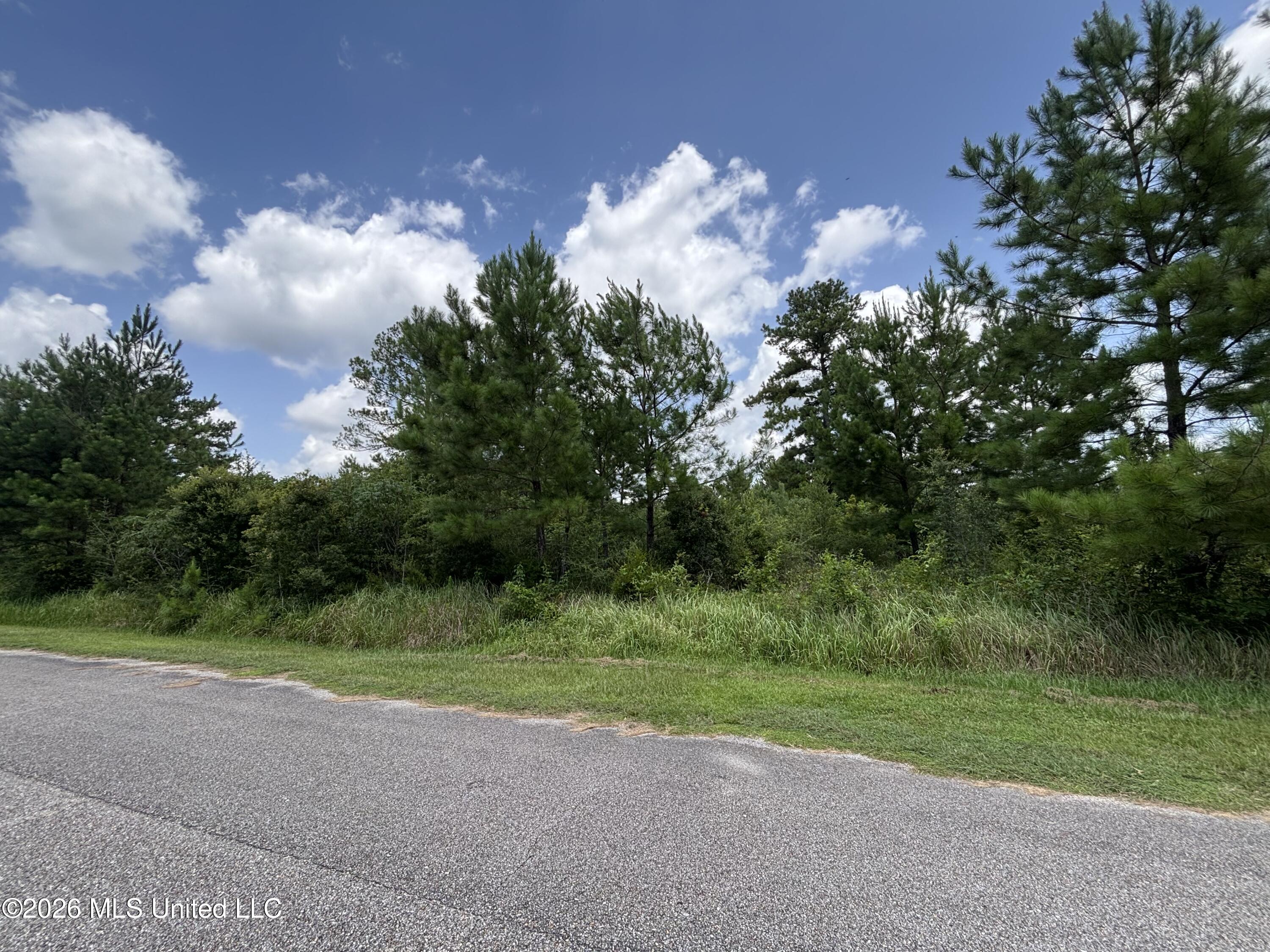 Lots 92 & 93 Evergreen Drive Property Photo 6