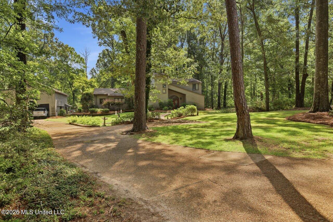 13 Montgomery Lane Property Photo 10