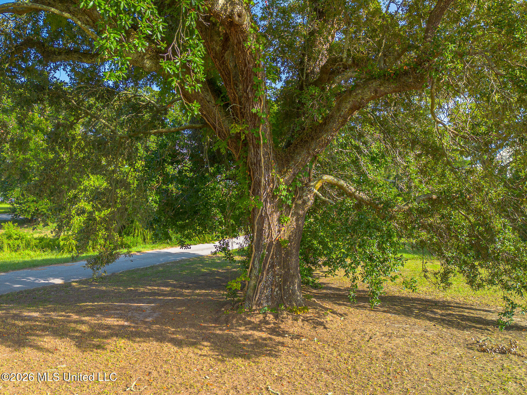 401 2nd Street Property Photo 8