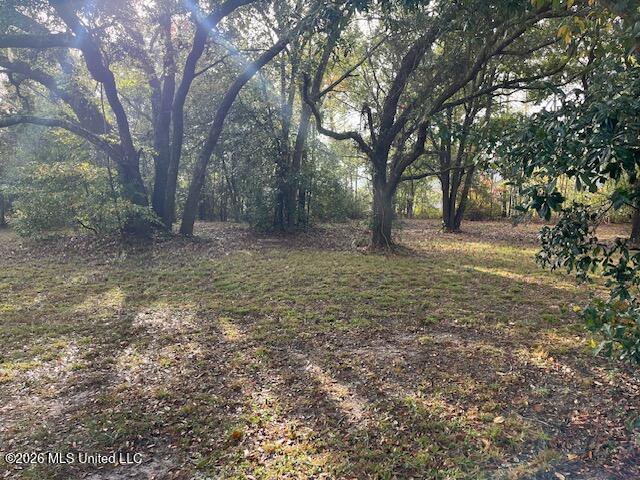 Turner Street Property Photo 6