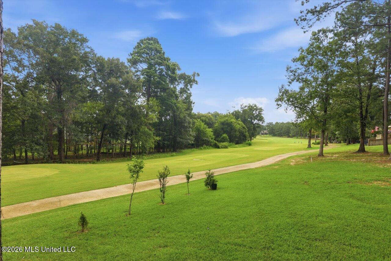 346 Woodlands Drive Property Photo 35