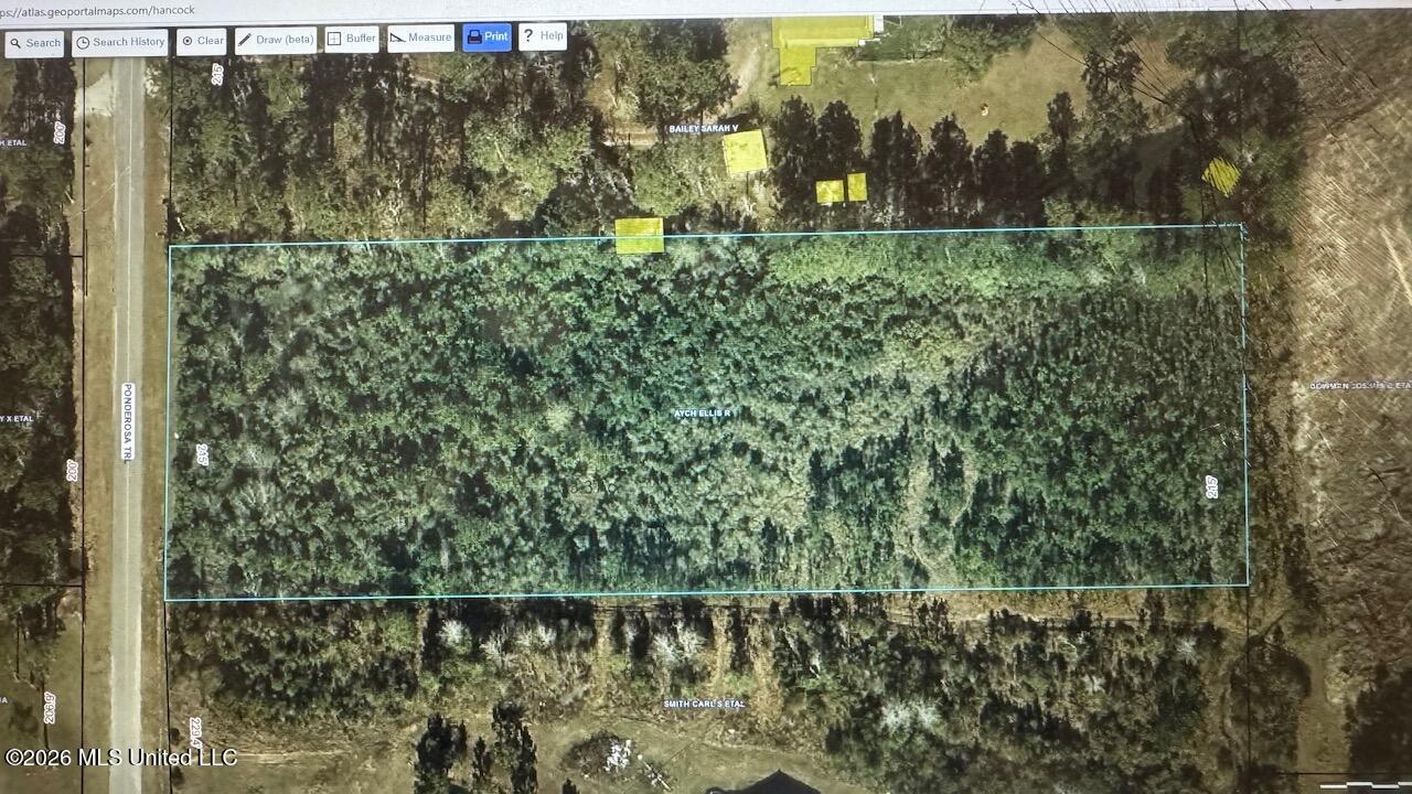 Ponderosa Trail Property Photo 1