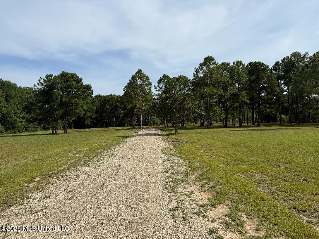 6024 Addie Lane Property Photo 2