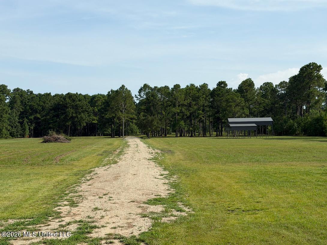 6024 Addie Lane Property Photo 5