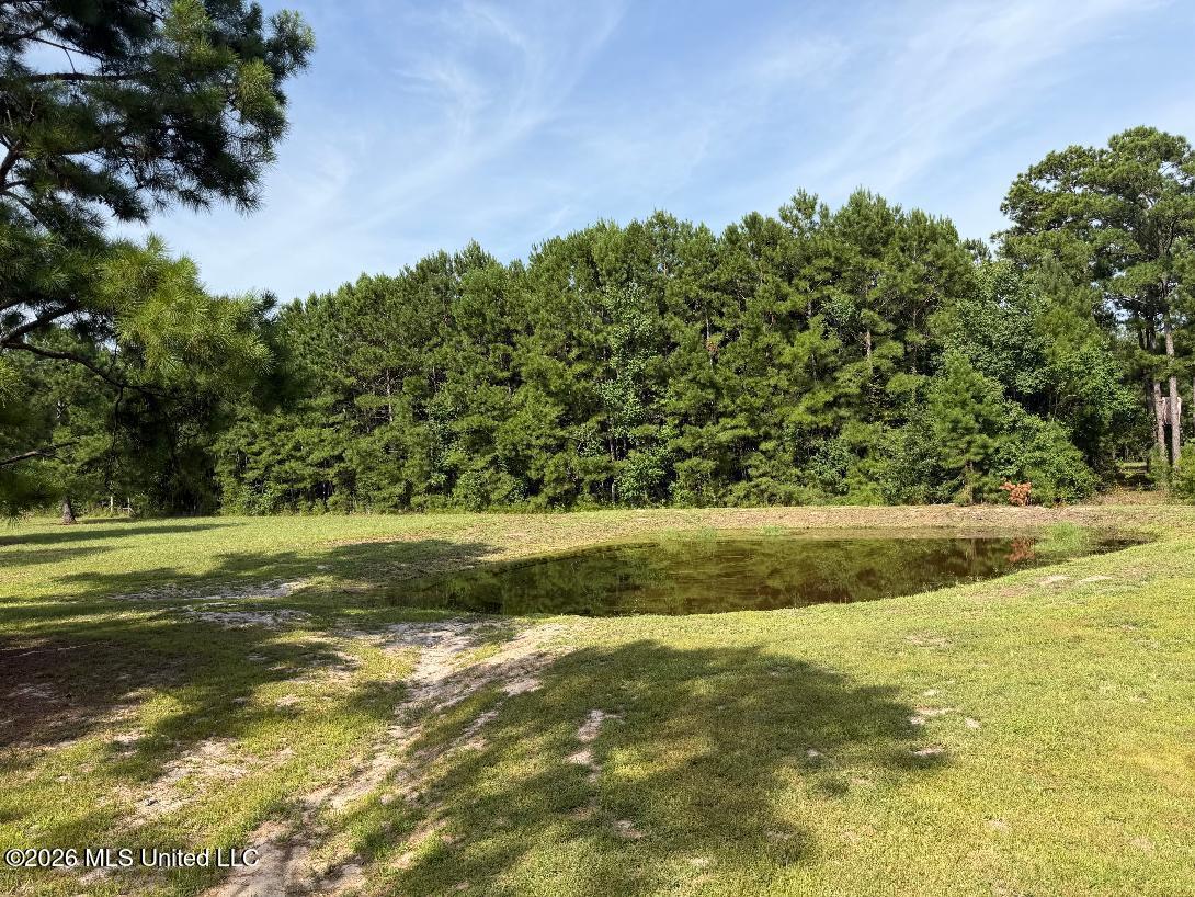 6024 Addie Lane Property Photo 8