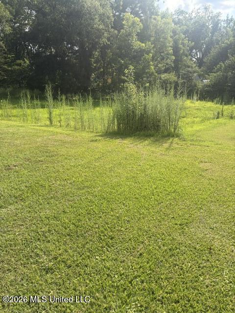 203 S Binford Avenue Property Photo 3