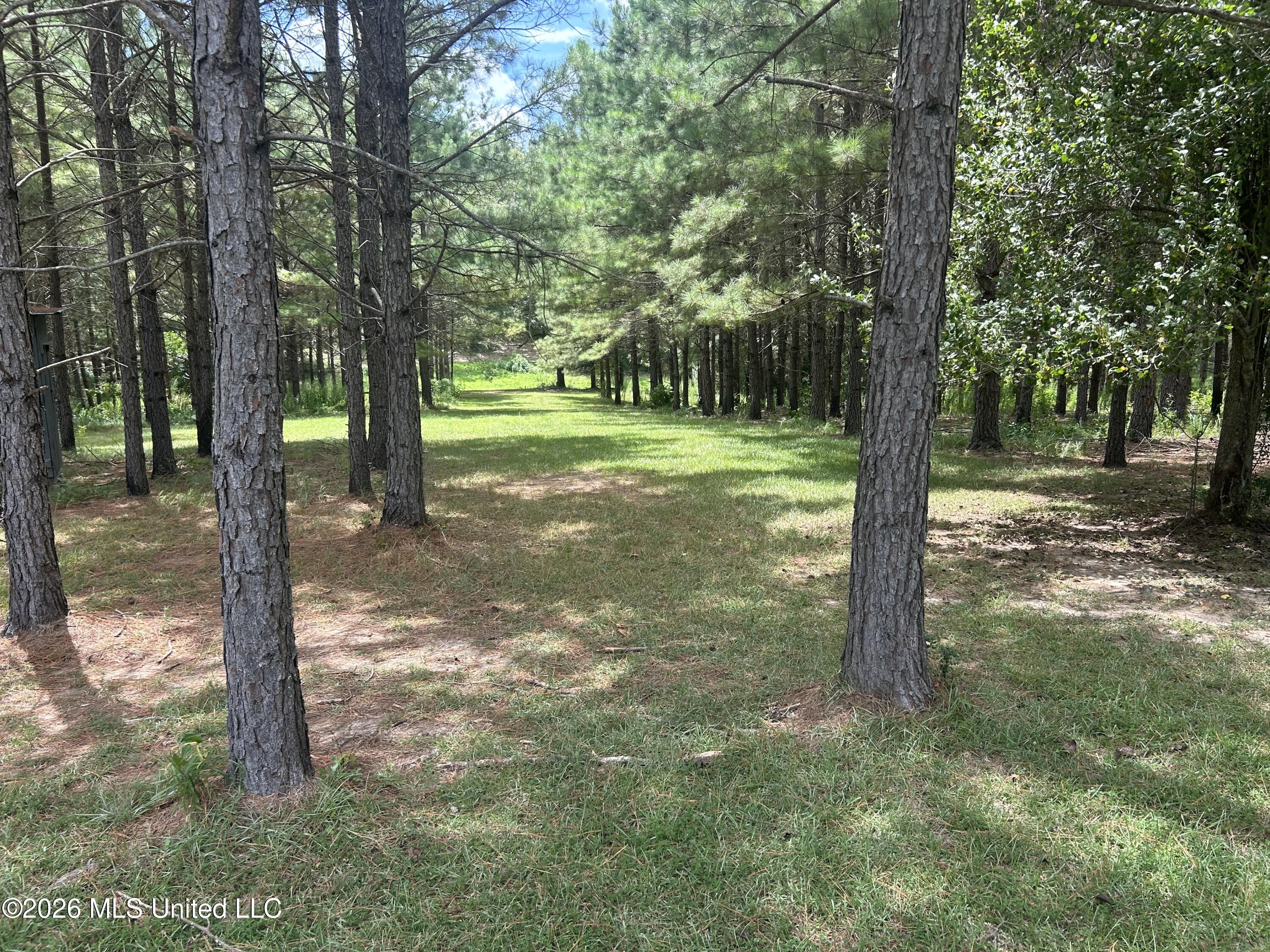 2543 Se Warren Road Property Photo 45
